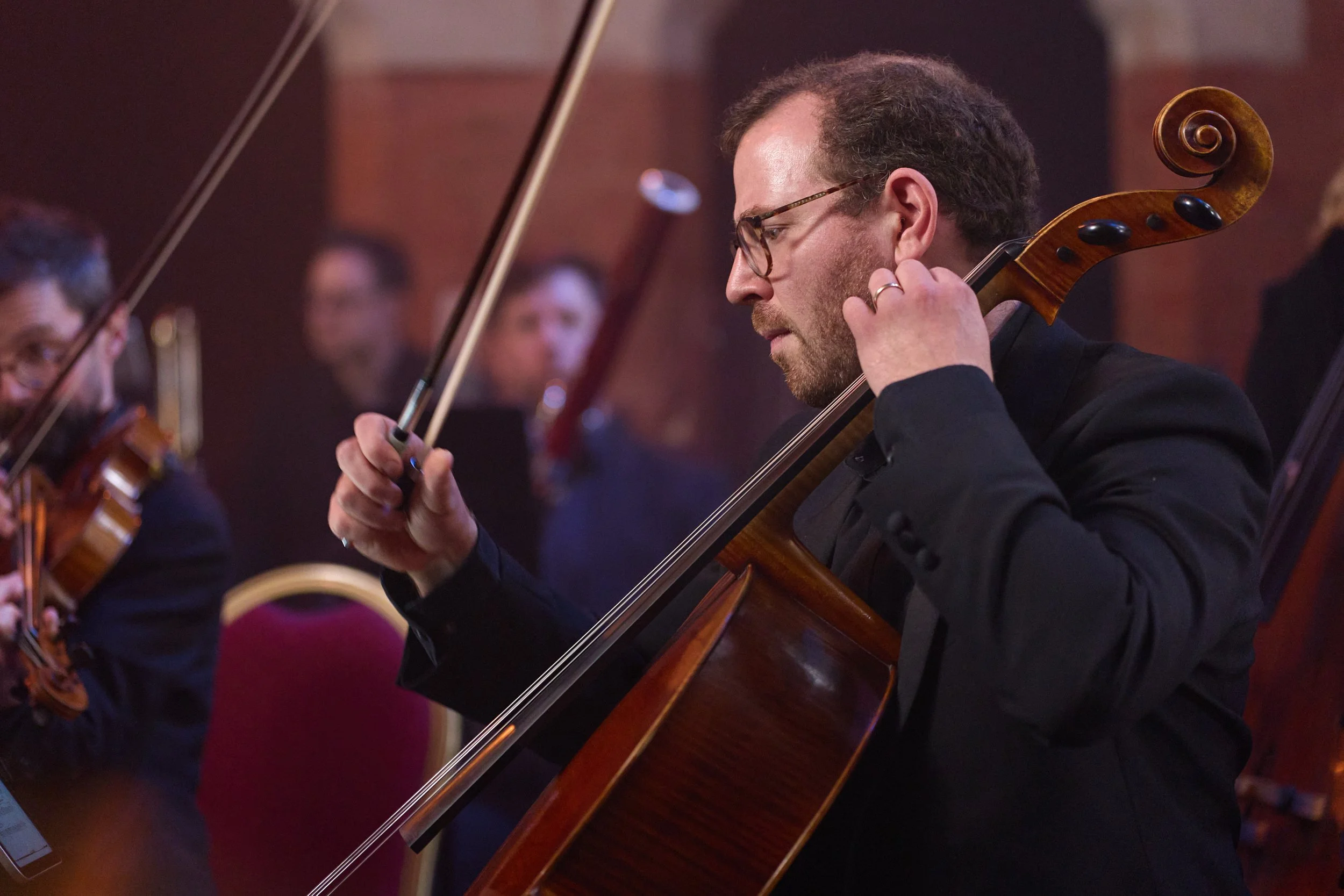 Mozart Festival Orchestra: Vivaldi Four Seasons
