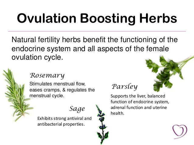 natural-fertility-boosting-foods-6-638.jpg