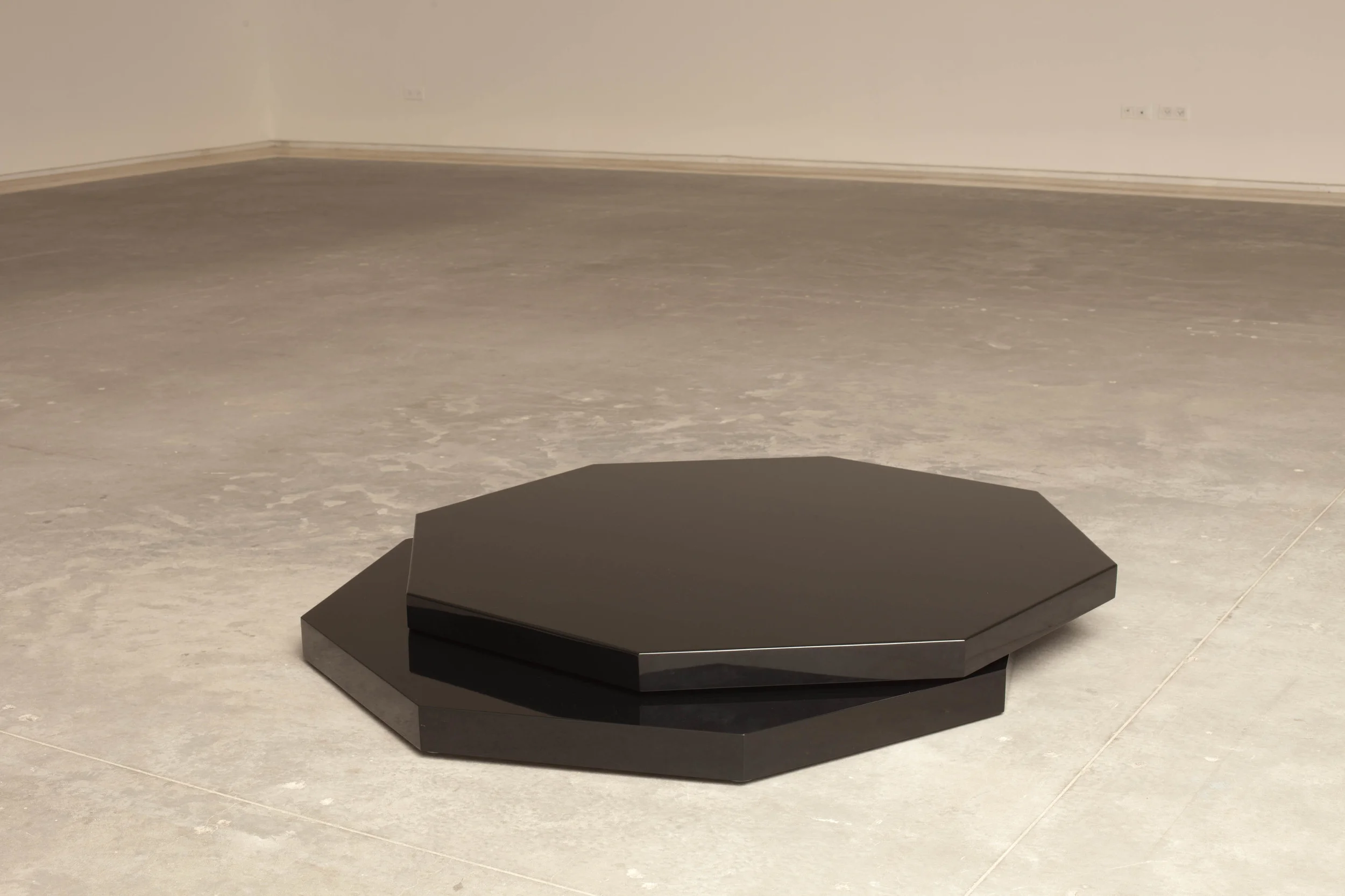 Minimal Standard Model at the Tel Aviv Museum of Art