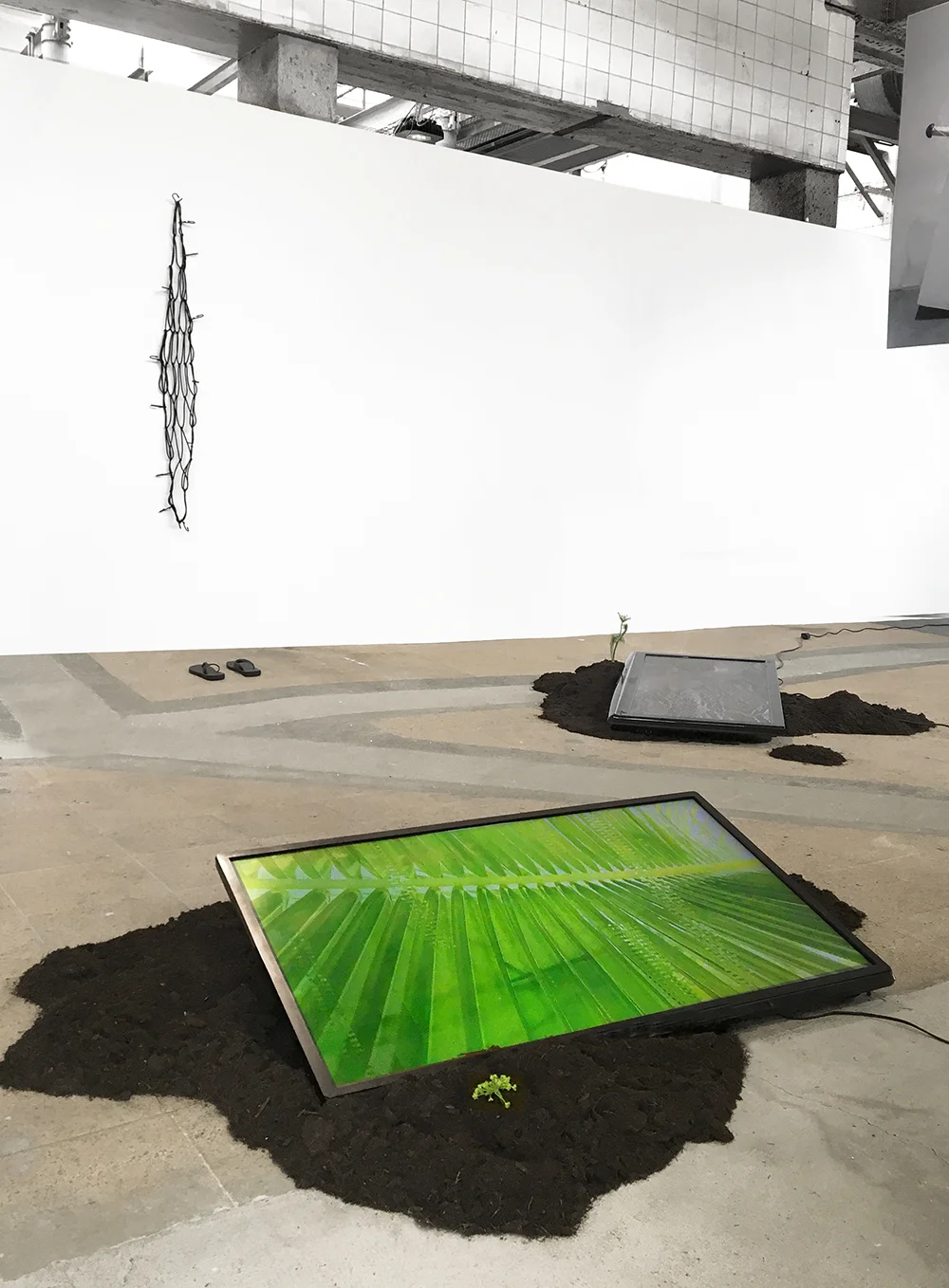 Meanwhile, At Home Installation View At Quartier General, Switzerland., Curated By Corina Weiss. 2017, LCD, Screens, Soil, Plants, Cargo Net, Rubber Sandals