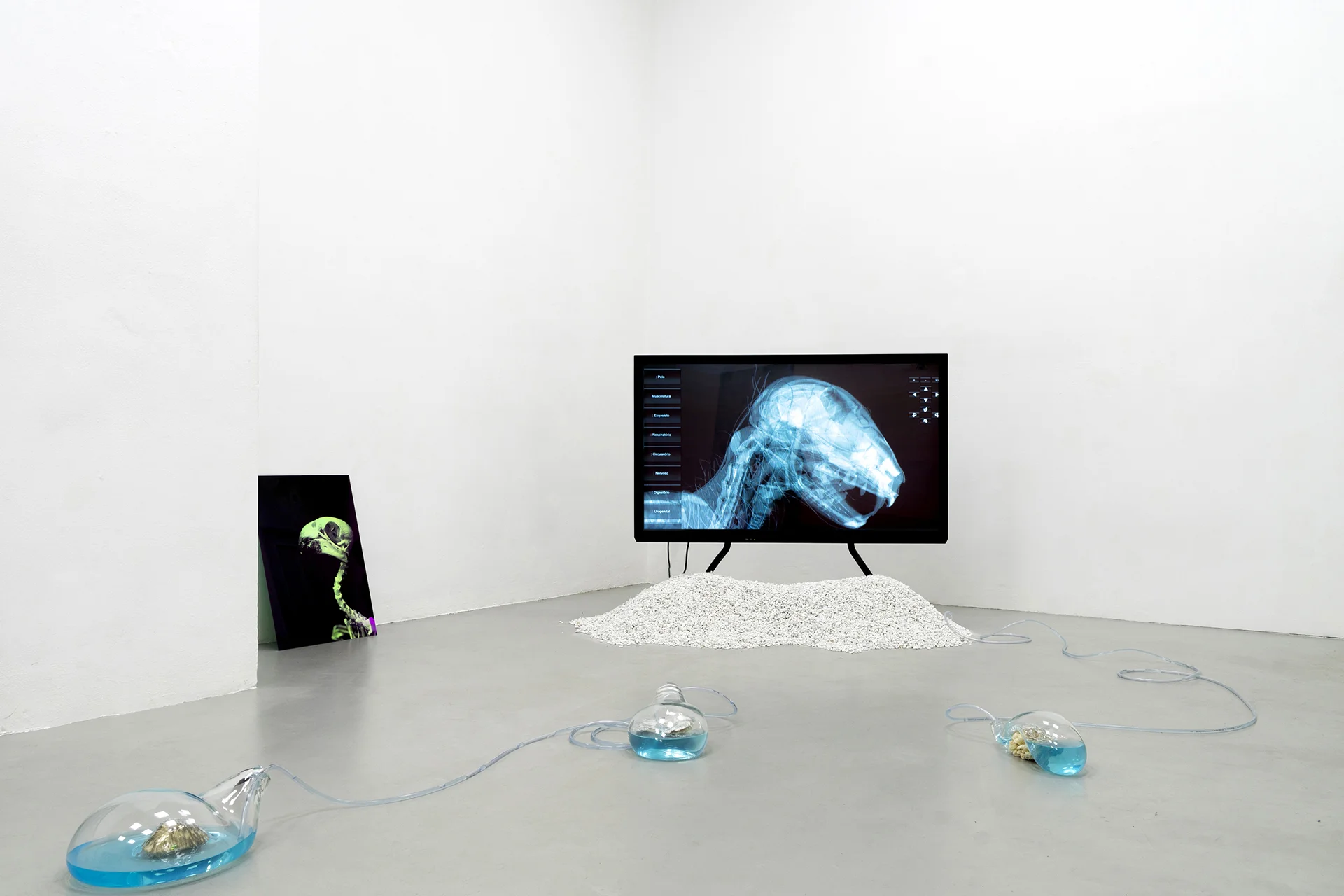 12-Paulo-Arraiano,-Sensorial-Divinities.-2019.-Exhibition-view.-Dimora-Artica-(ph-Cesare-Lopopolo).jpg