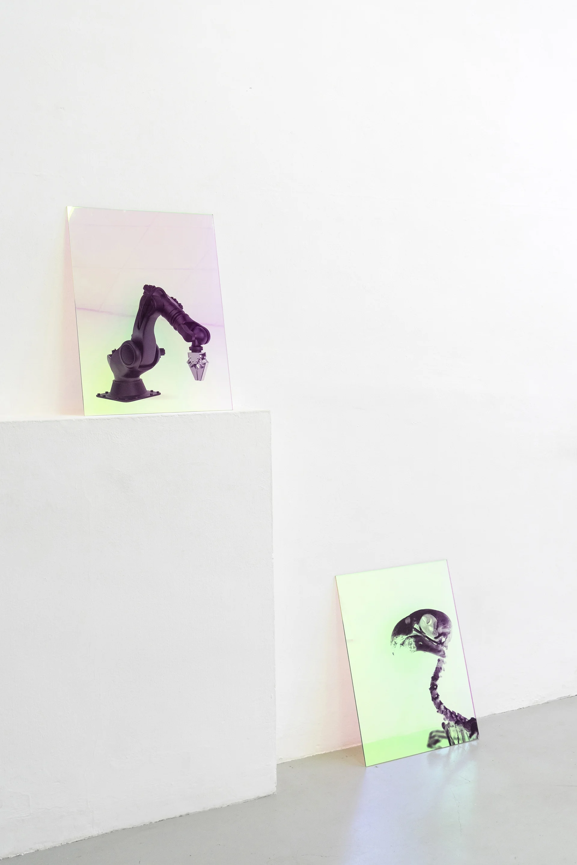 4-Paulo-Arraiano,-Sensorial-Divinities.-2019.-Exhibition-view.-Dimora-Artica-(ph-Cesare-Lopopolo).jpg