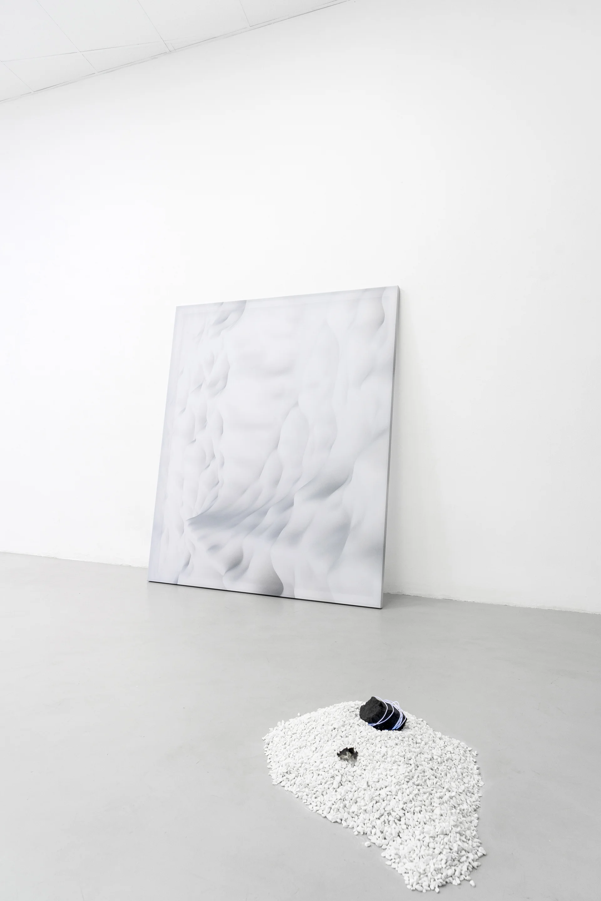 8-Paulo-Arraiano,-Sensorial-Divinities.-2019.-Exhibition-view.-Dimora-Artica-(ph-Cesare-Lopopolo).jpg