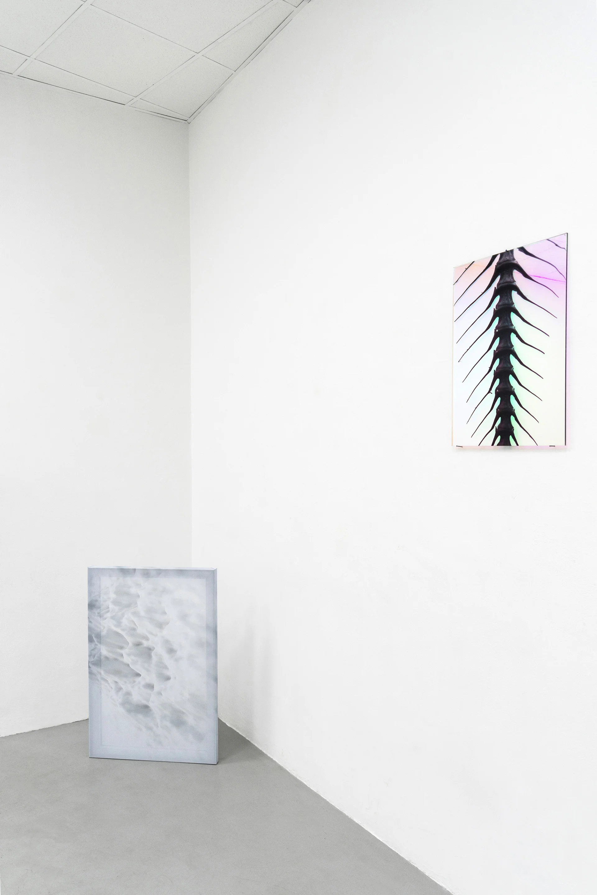 22-Paulo-Arraiano,-Sensorial-Divinities.-2019.-Exhibition-view.-Dimora-Artica-(ph-Cesare-Lopopolo).jpg