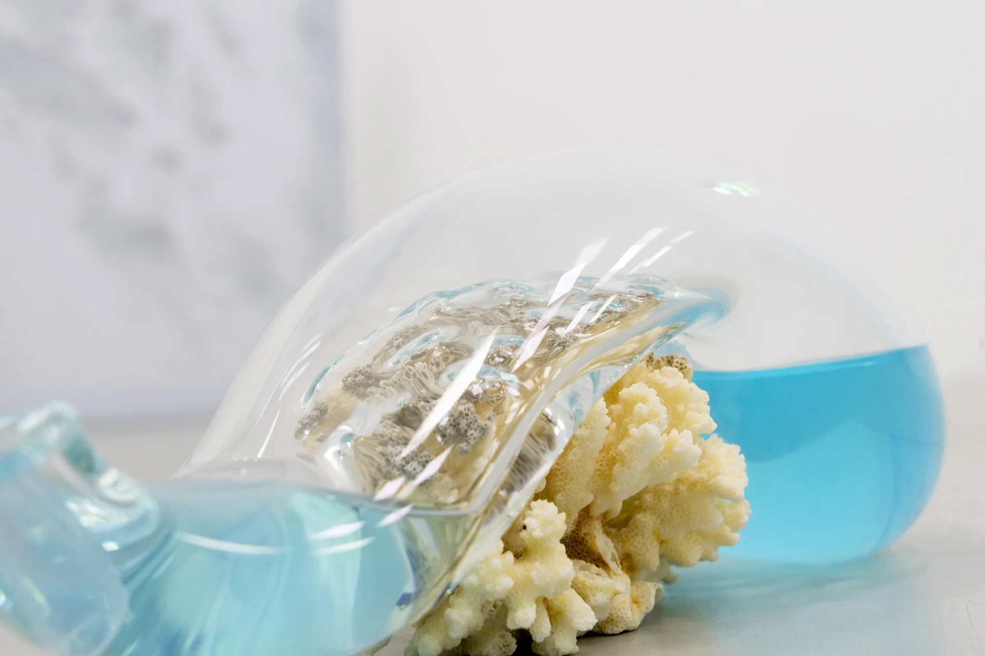 Coming From Water (a1) 2019, Glass, coral, water, pigment, silicone tube, 29 x 20 x 16 cm Installation view at Dimora Artica, Milan