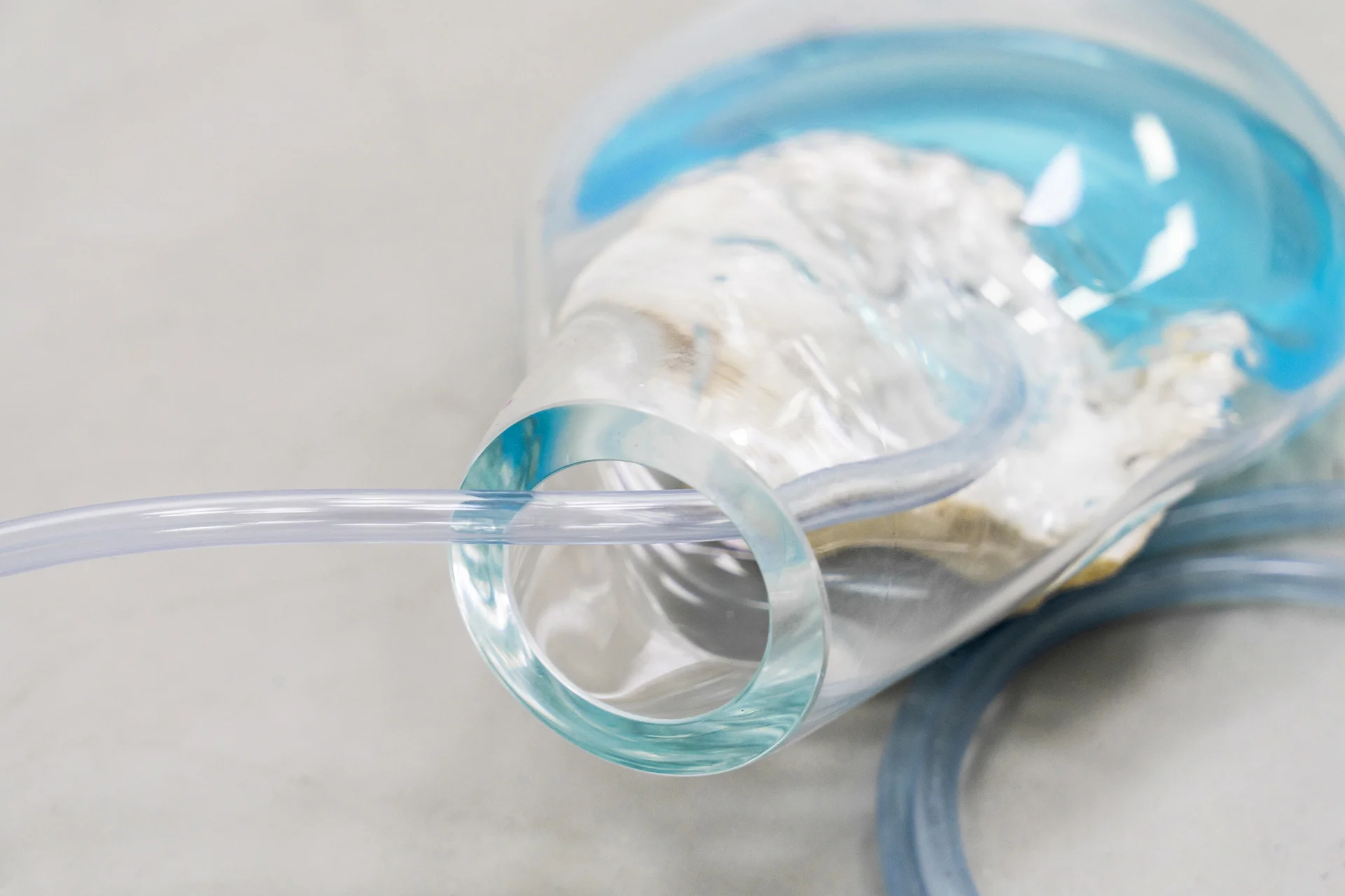 Coming From Water (a2) 2019, Glass, coral, water, pigment, silicone tube, 29 x 20 x 16 cm Installation view at Dimora Artica, Milan