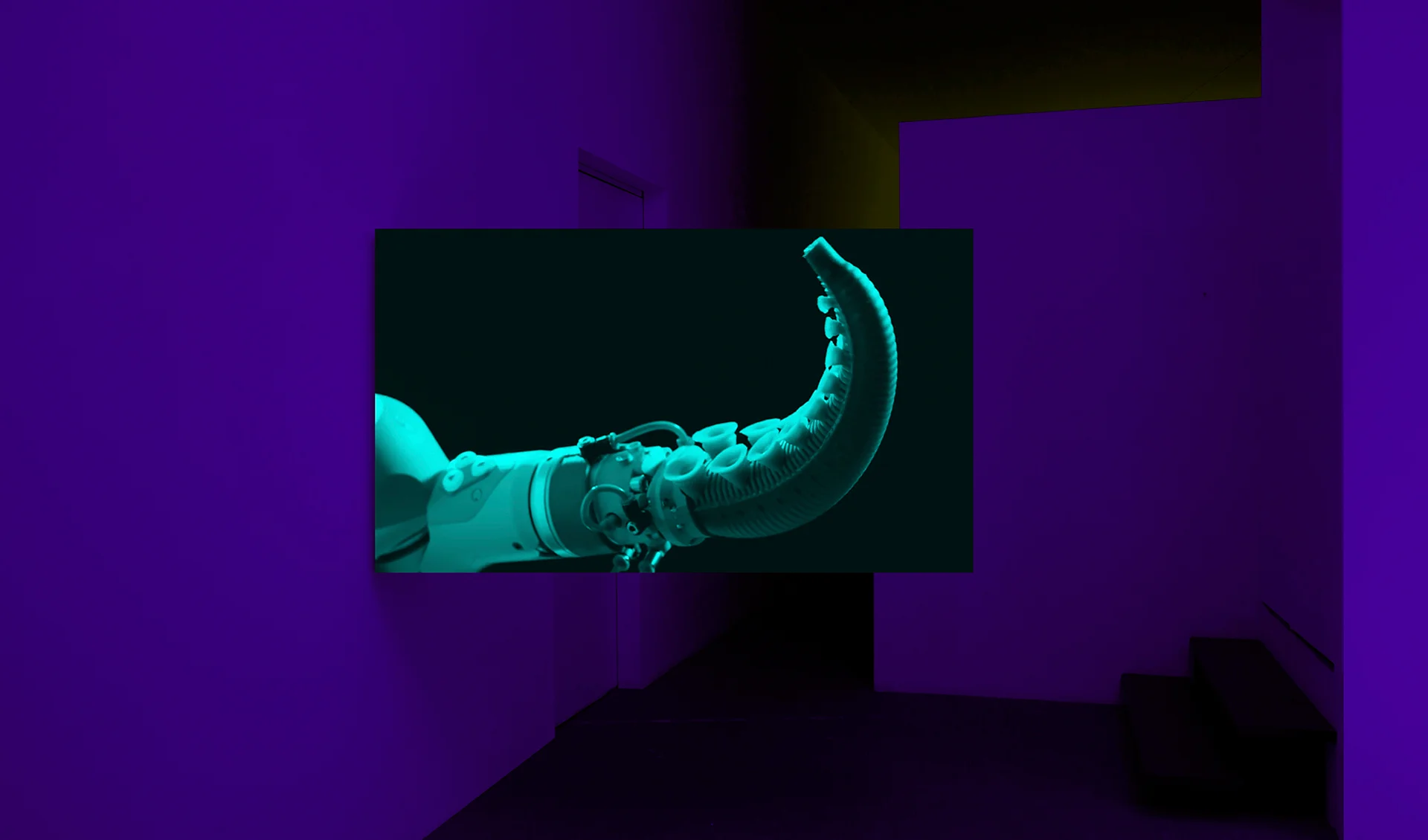 Towards The Last Unicorn 2019, Installation view at 55SP, S. Paulo