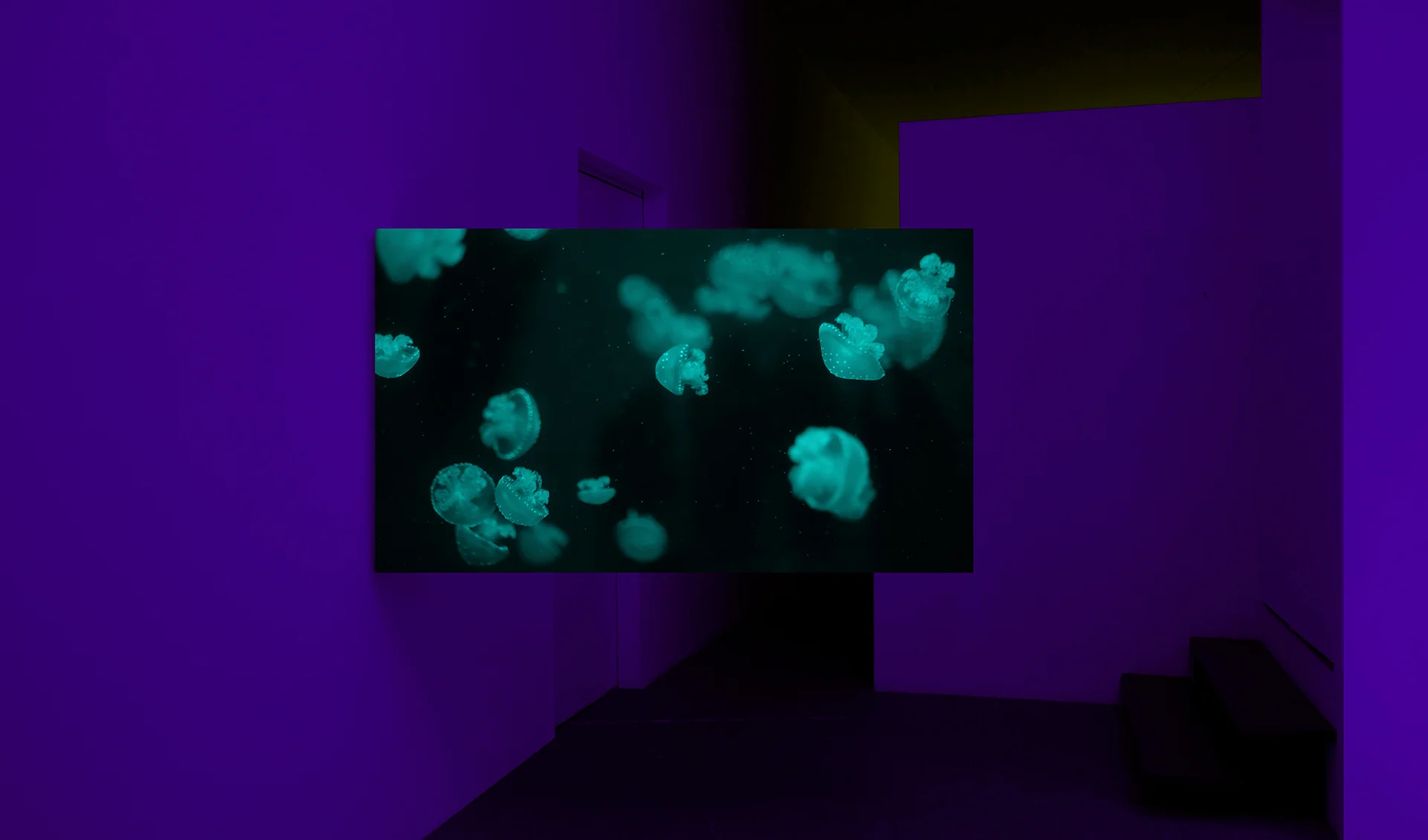 Sensorial Divinities 2019, Installation view at 55SP, S. Paulo