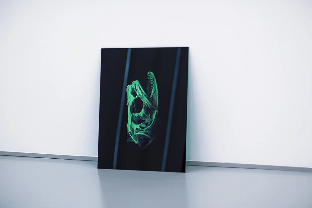 Postfossil (a7)  2019, Digital Print on dichroic film, acrylic, 60 x 45 cm Installation View at Active Synthesis, Forum Arte Braga Curated by Duarte Sequeira And Guilherme Braga da Cruz