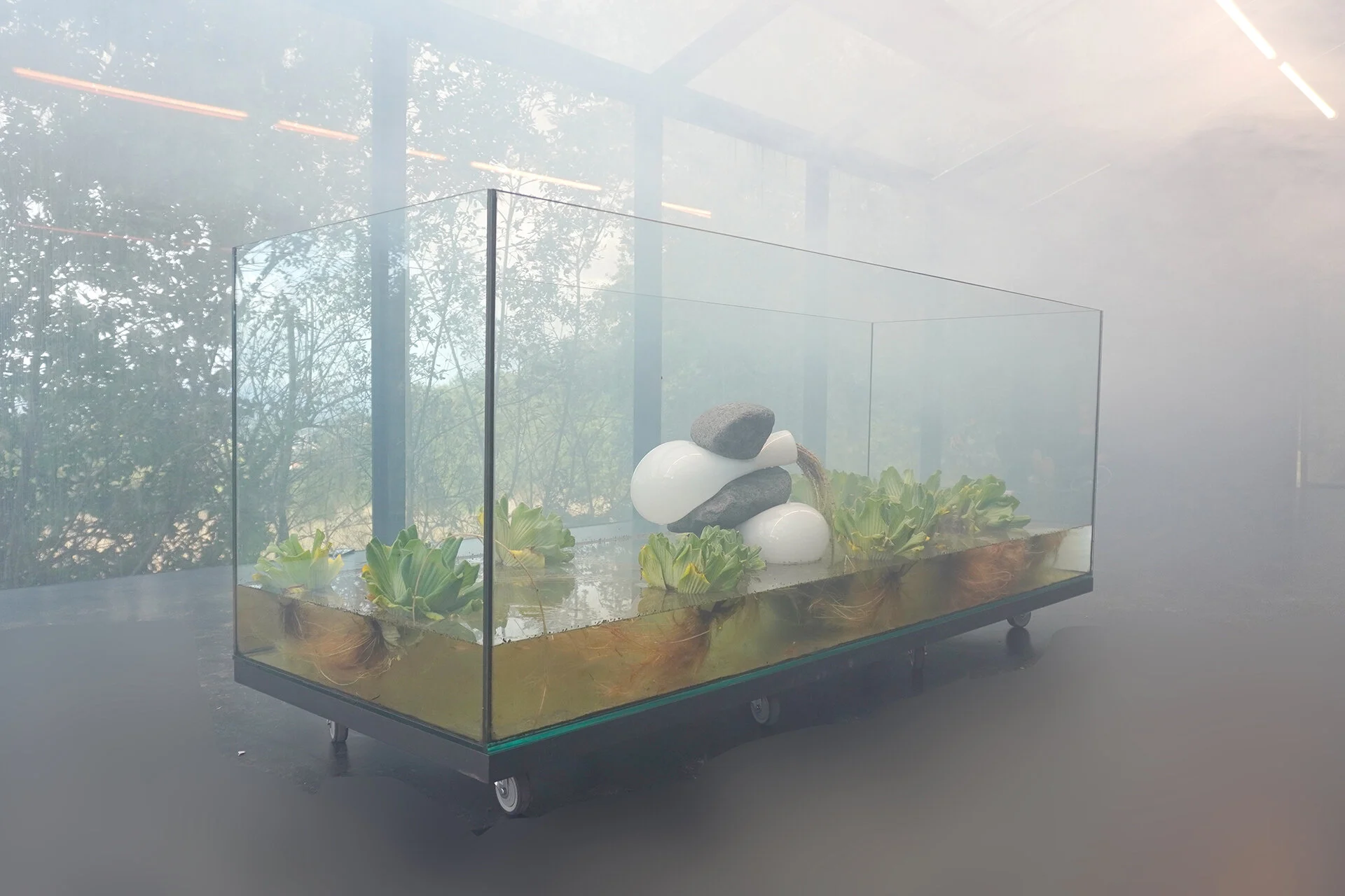 BIOPHILIA  2020, Installation View at Mosteiro de Tibaes, Curated by Inês Valle