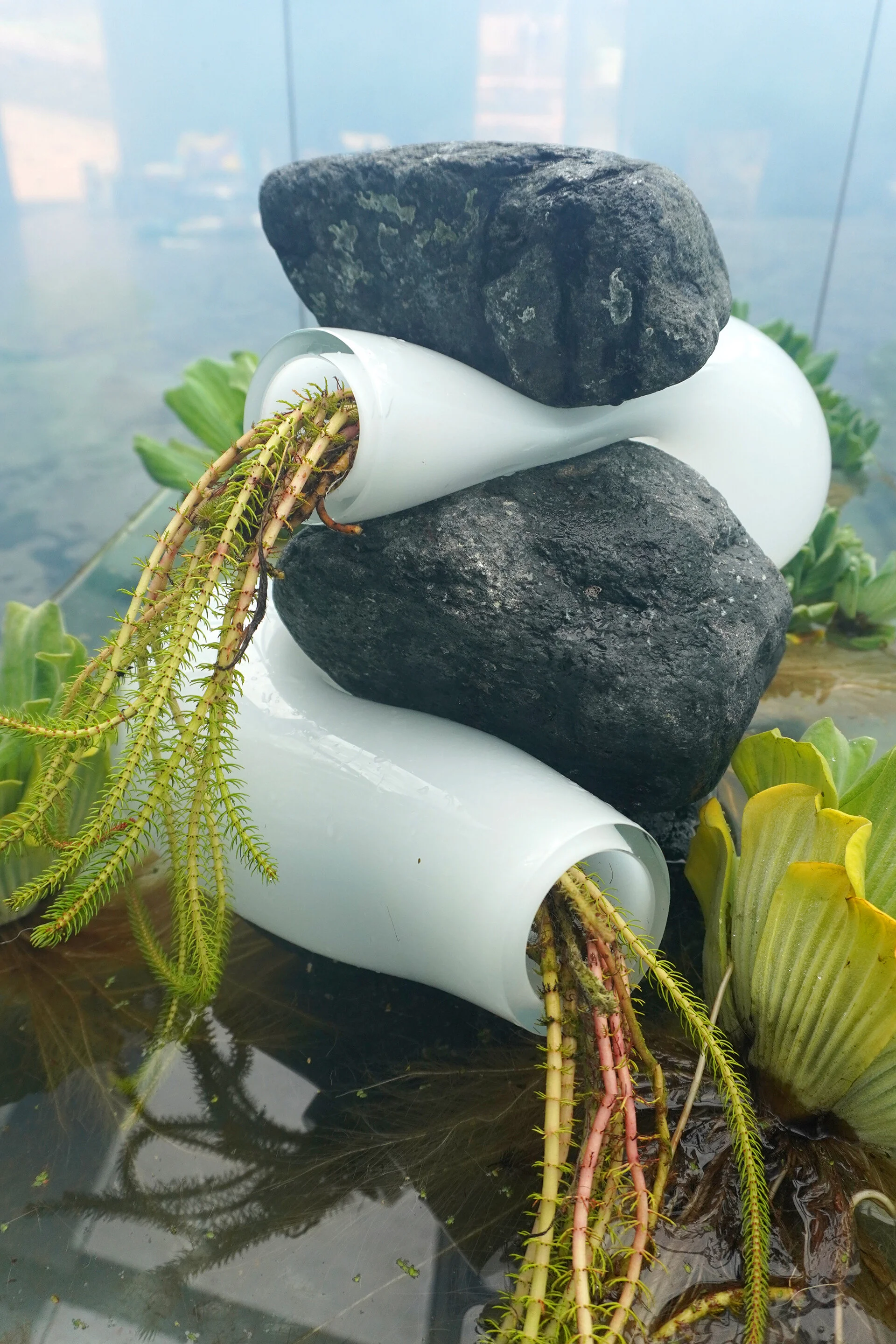 BIOPHILIA (Detail)  2020, Installation View at Mosteiro de Tibaes, Curated by Inês Valle