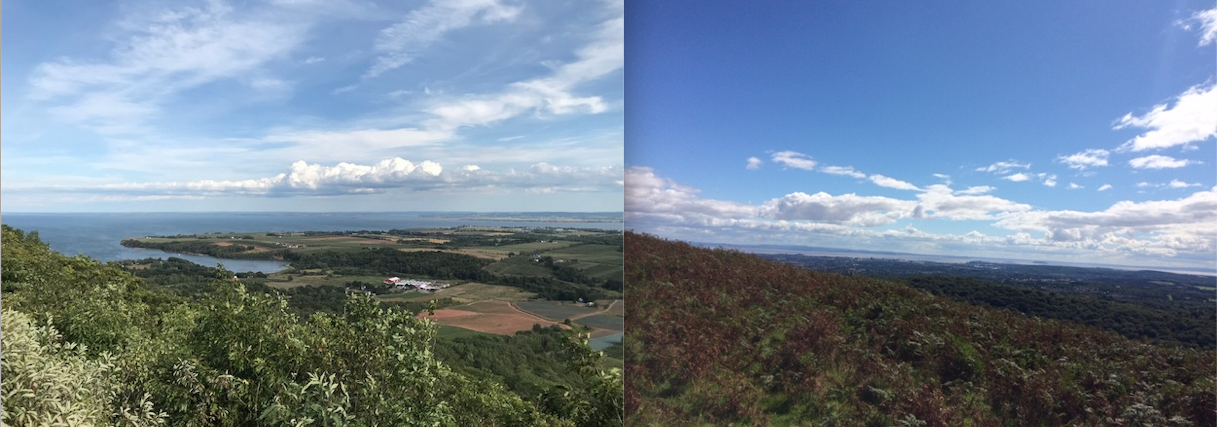 (Image credits: Jacinte Armstrong, Colin Ricketts)