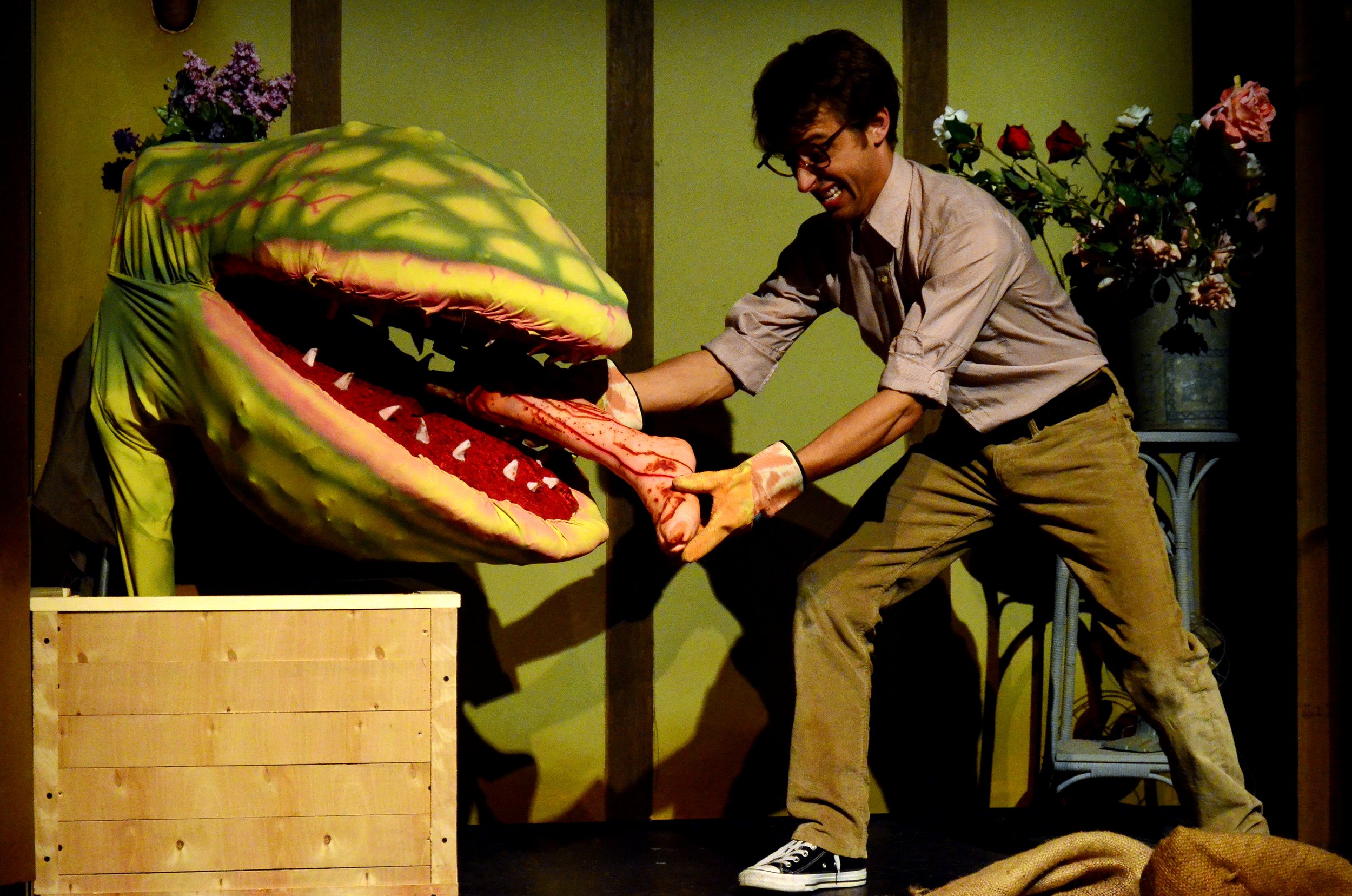   Little Shop Of Horrors  