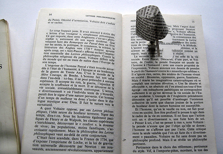 a few words, Voltaire room, altered book