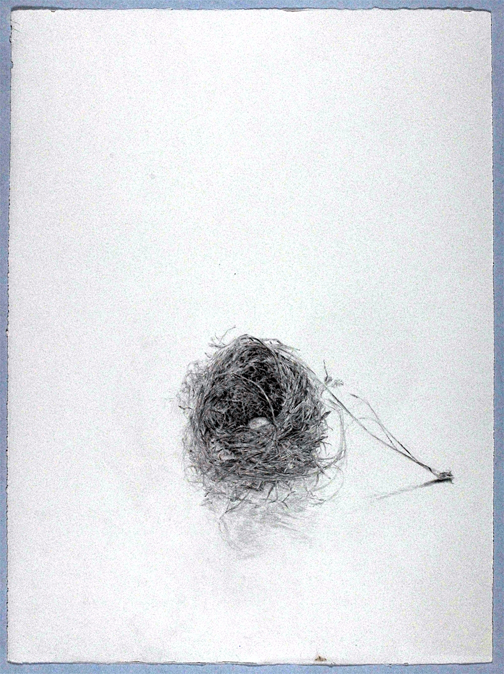 birdnest, (blackbird with egg)