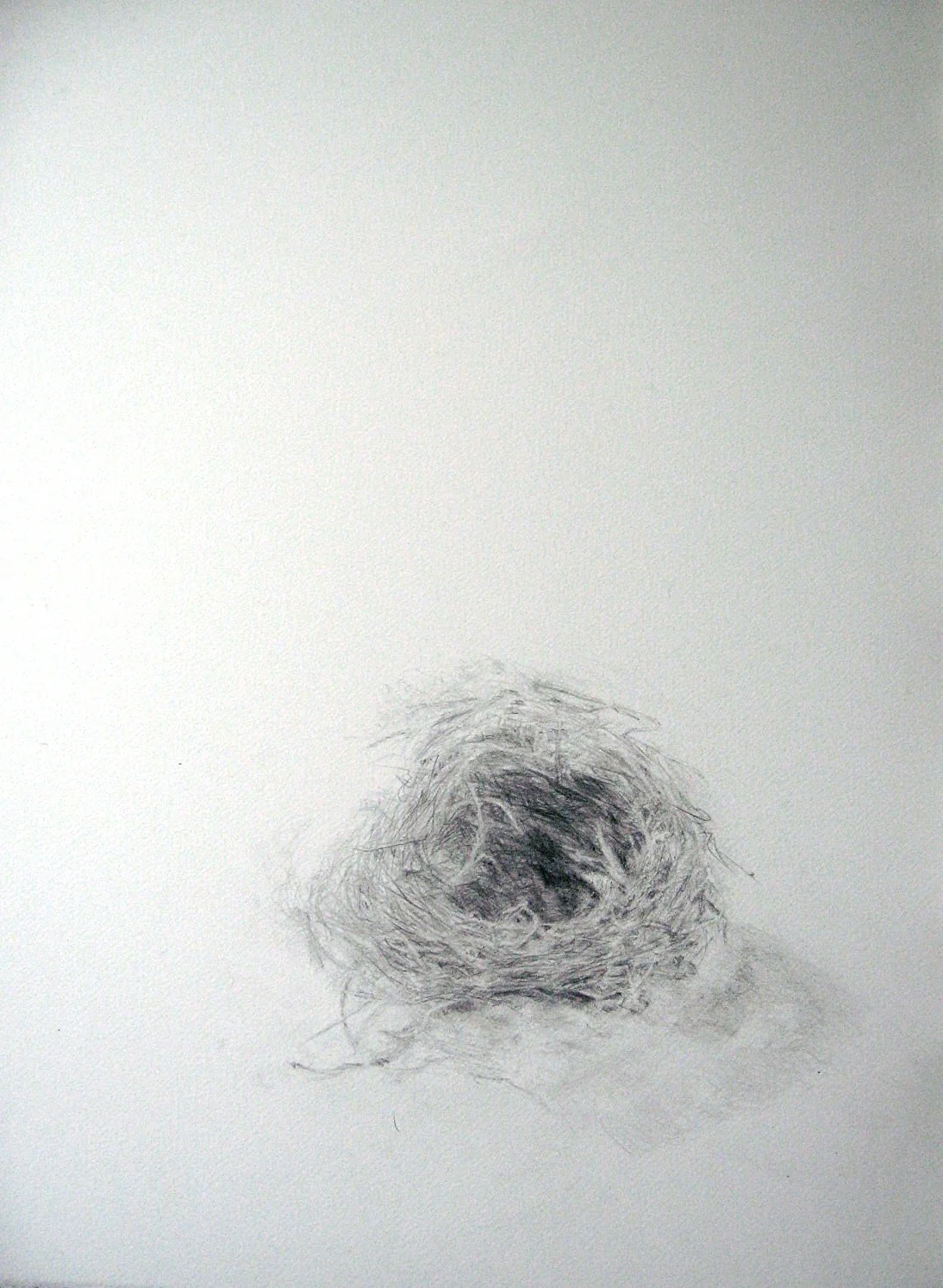 birdnest, (blackbird)
