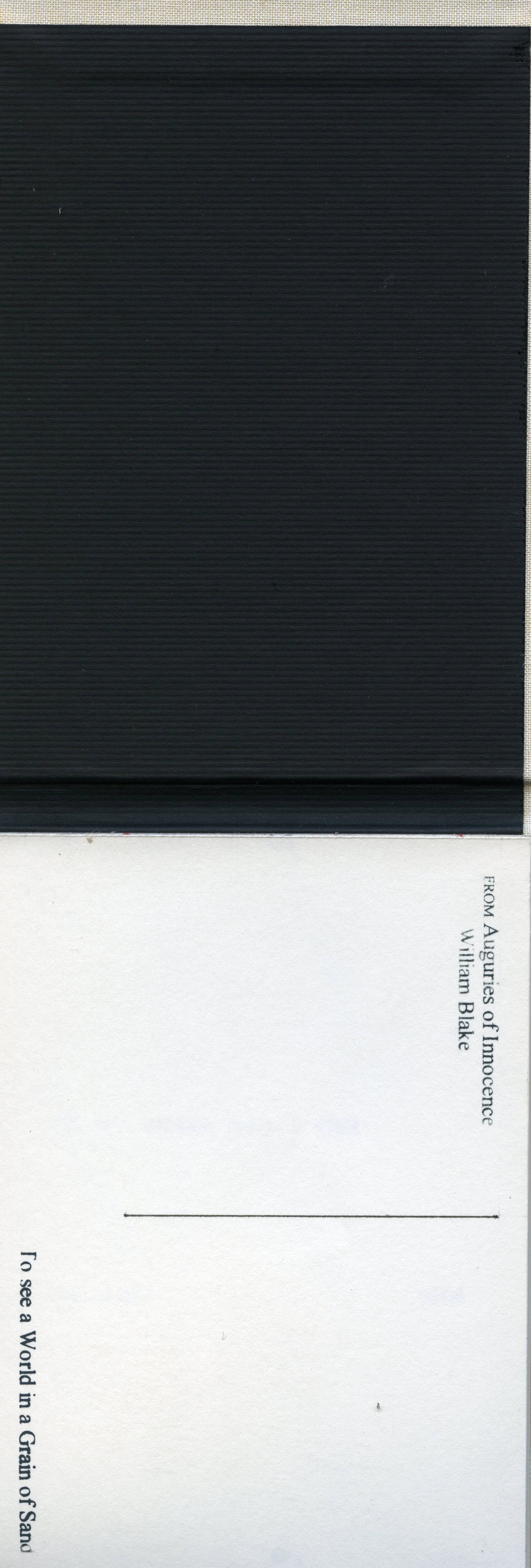 friday book