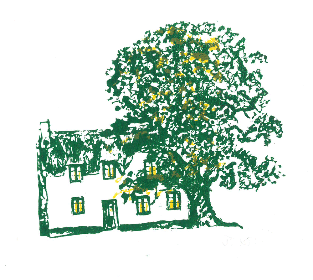 tree, oak and farmhouse