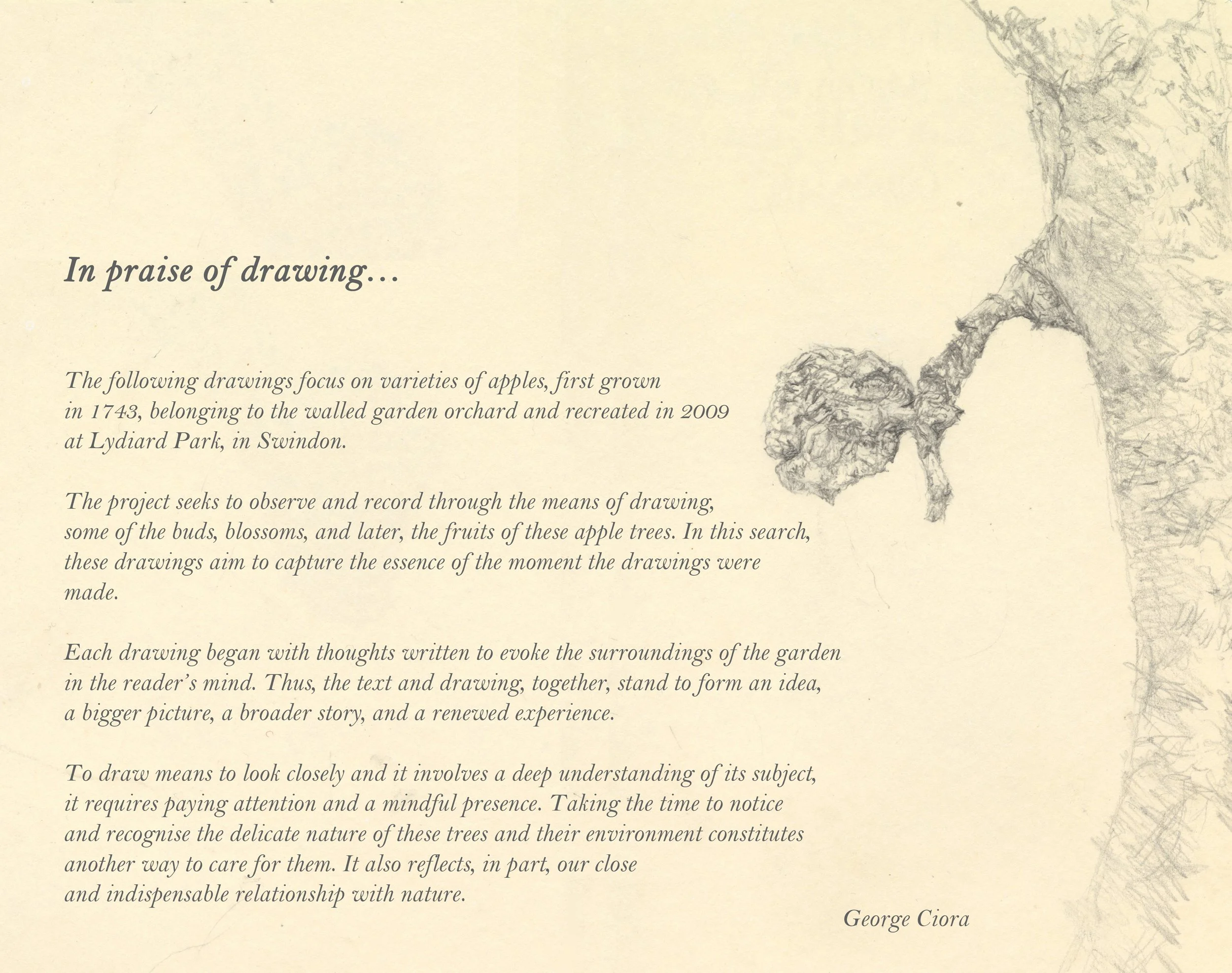 in search of apples, Lydiard walled garden, foreword