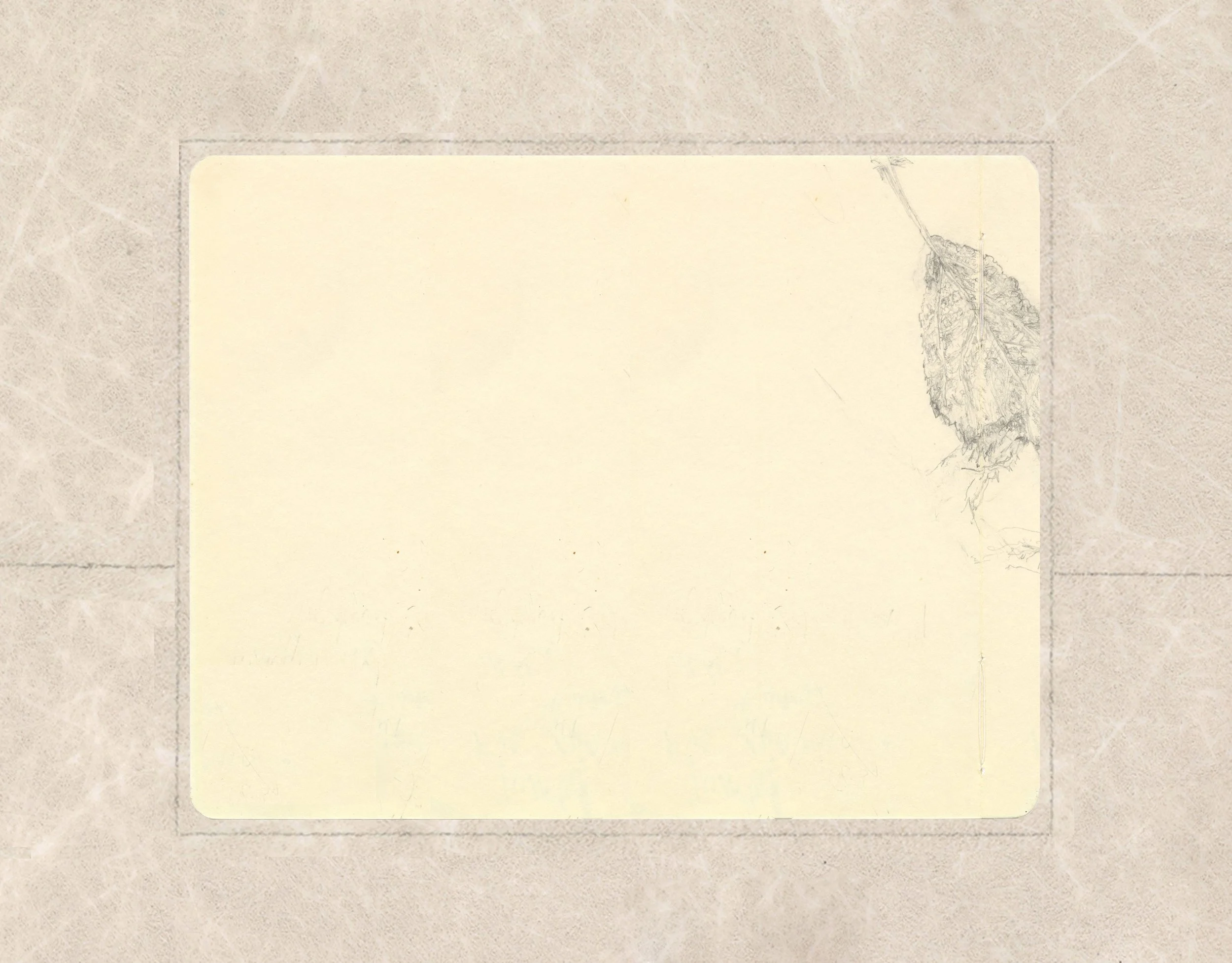 in search of apples, Lydiard walled garden, reproduction of sketchbook, back cover