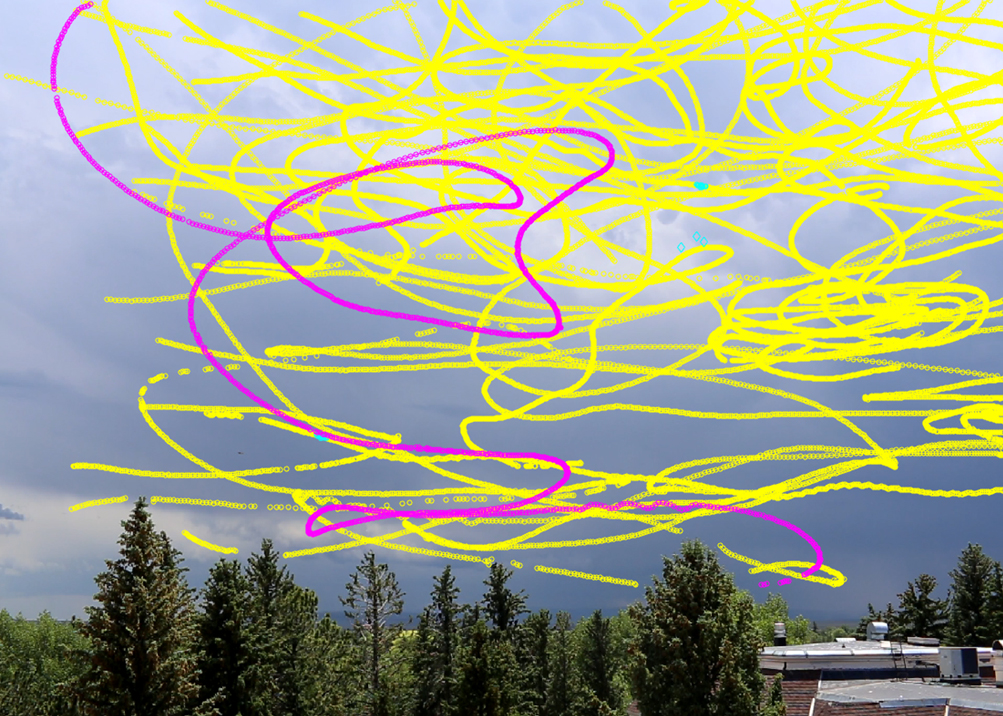 Vulture_tracks.jpg