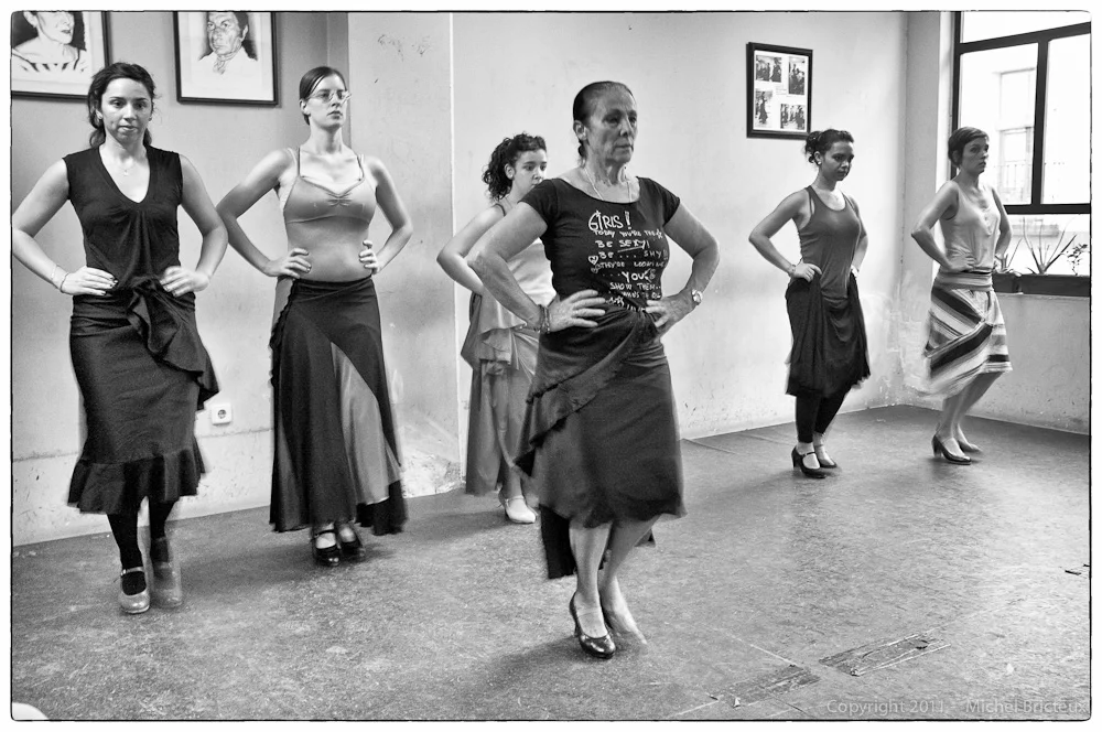 ES-Flamenco 2342-Editw.jpg