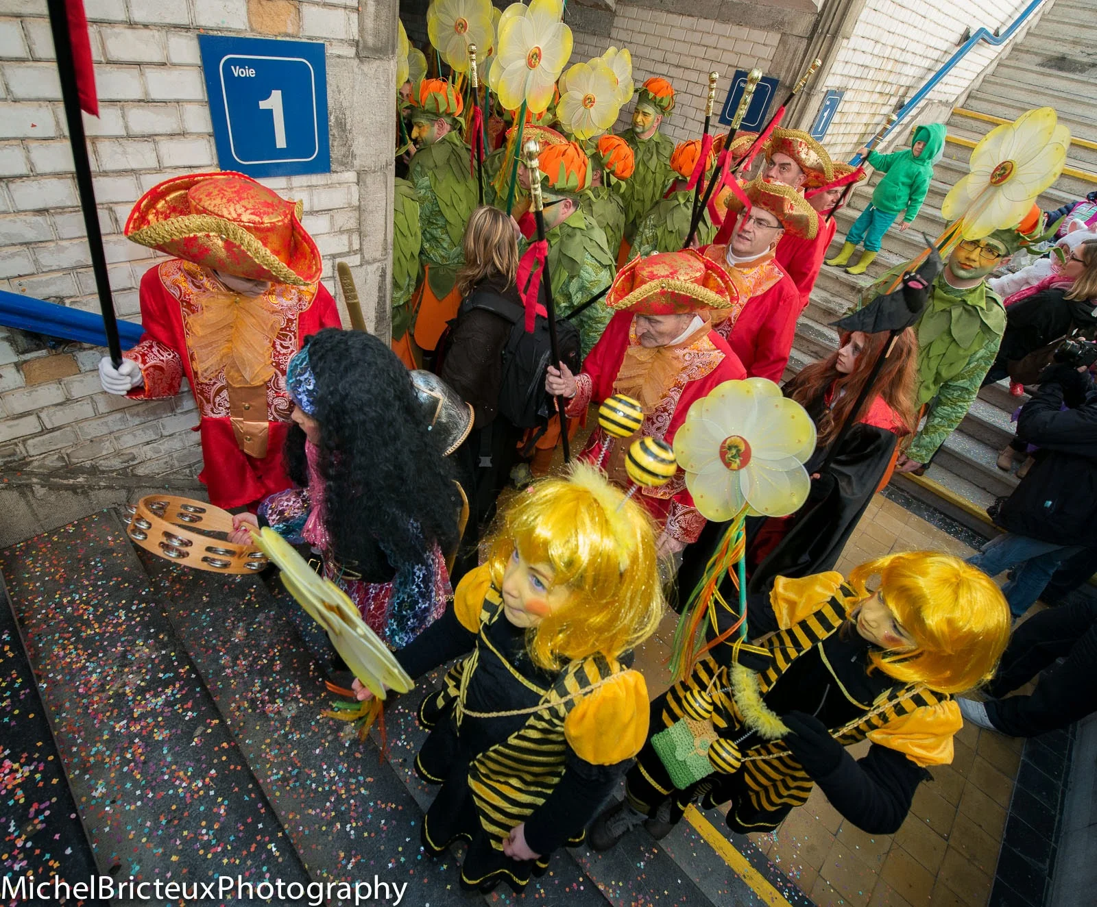 BE-Carnaval de Binche 2014 1002w.jpg
