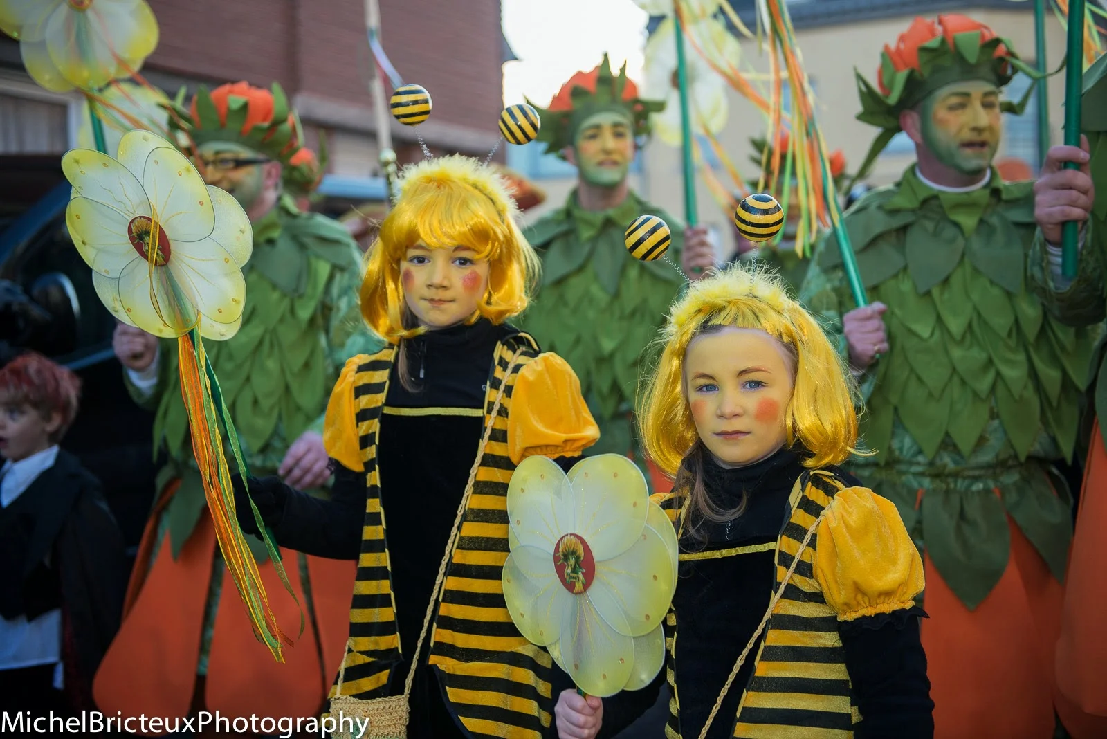 BE-Carnaval de Binche 2014 0904w.jpg