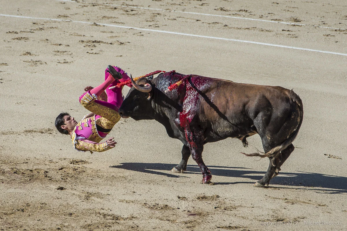 ES.Corida 8-12-2012 2232w.jpg