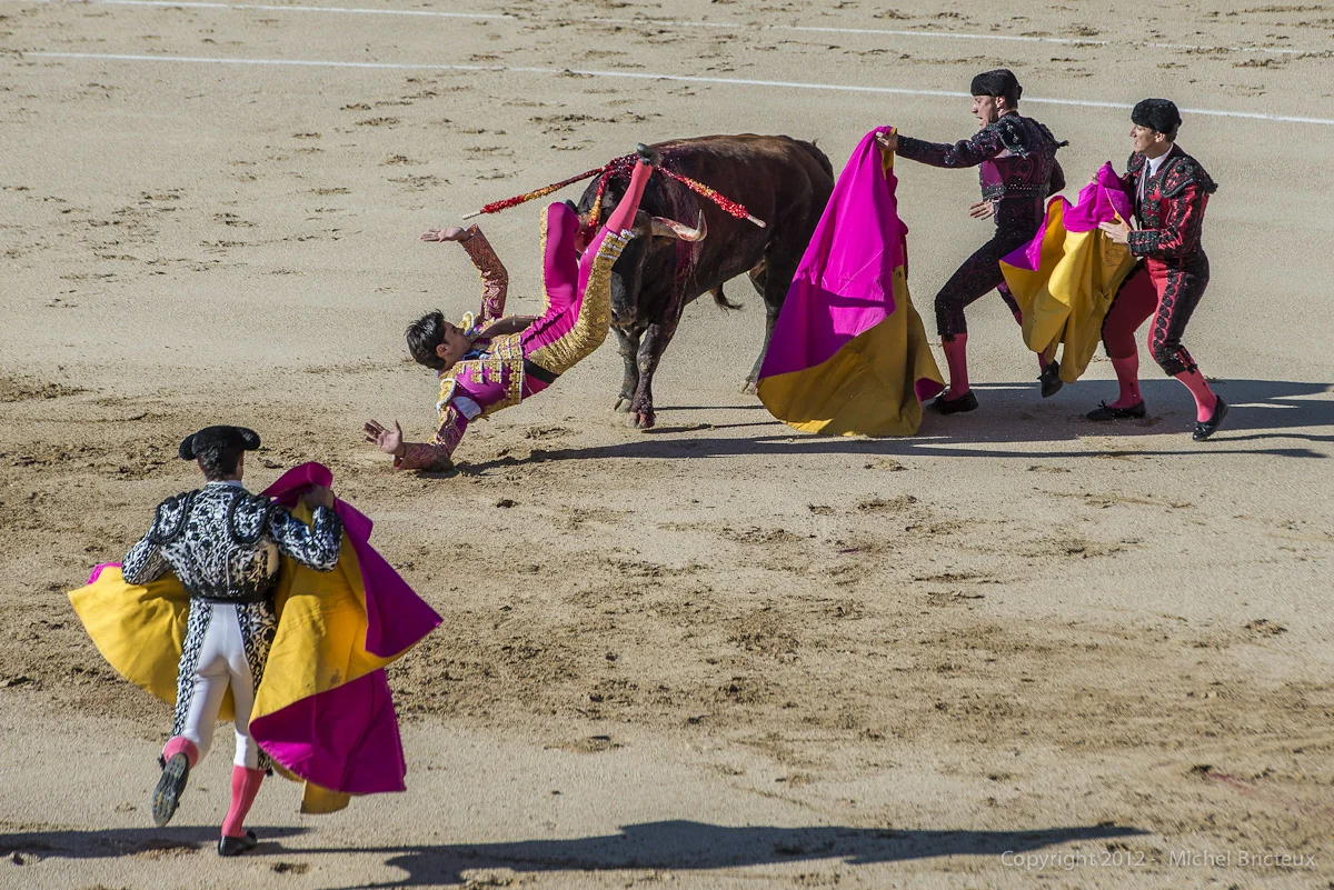 ES.Corida 8-12-2012 2236w.jpg