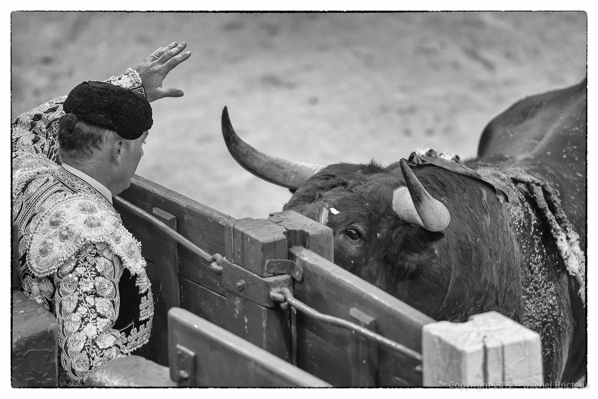 ES-Corrida 2010 3914-Editw.jpg