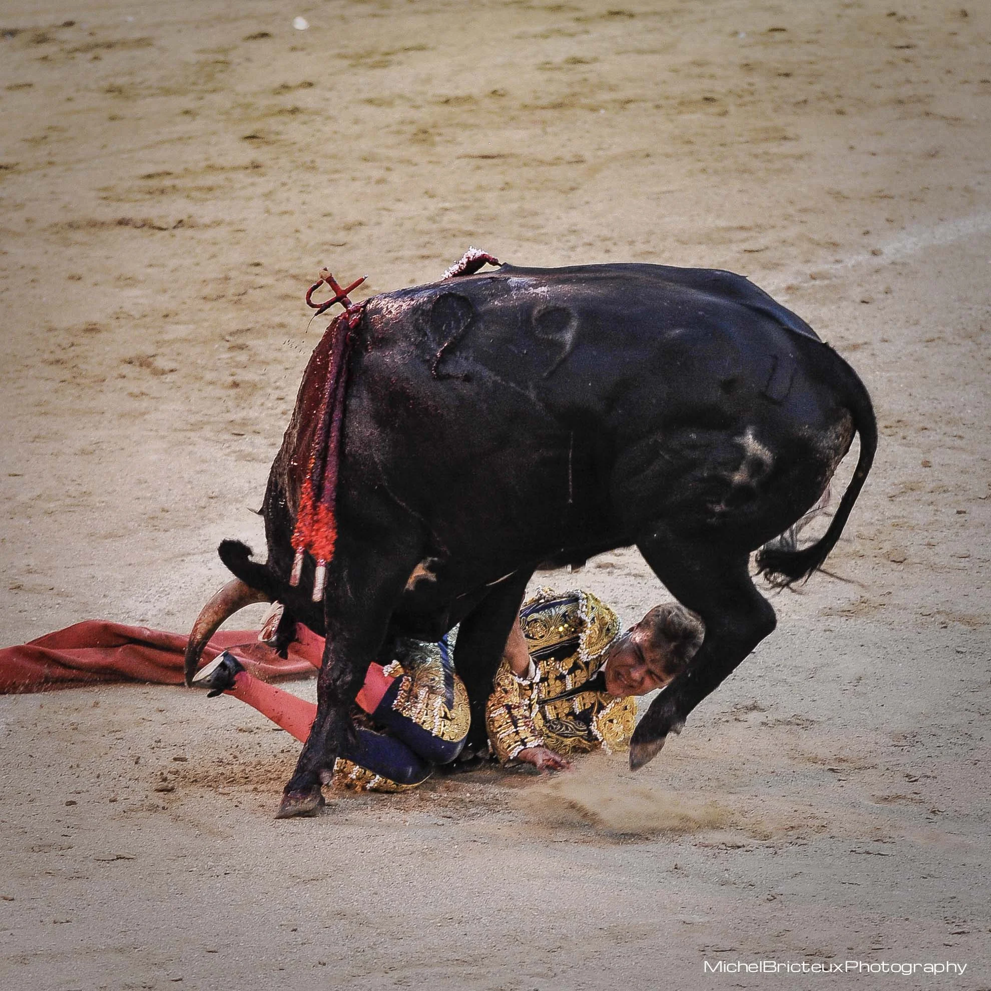 ES-Corrida 4717w.jpg