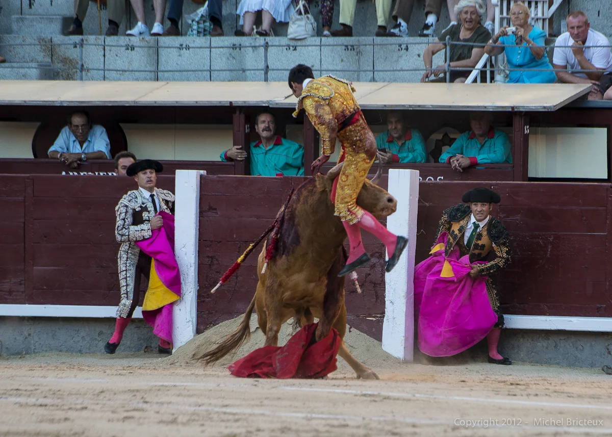 ES-Corrida-Novillada 08-07-2012 6423w.jpg