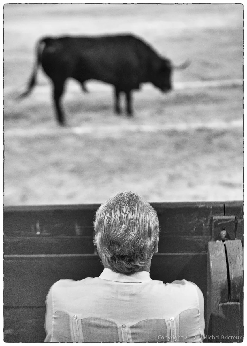 ES-Corrida-Novillada 08-07-2012 6698-Editw.jpg