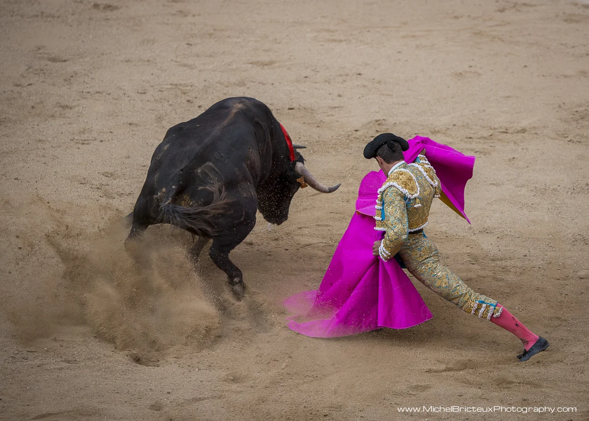 Novillada 28-07-2013 5259w.jpg