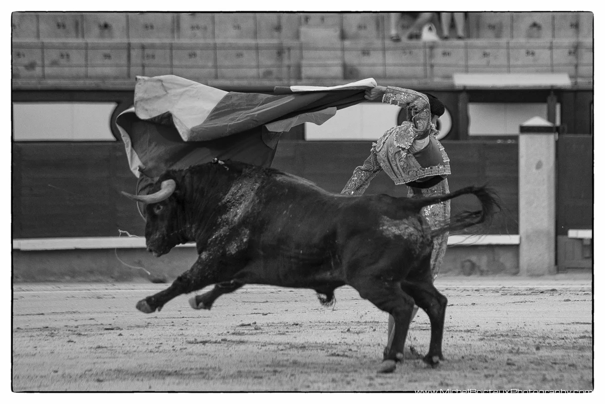 ES-Corrida 2012 7279-Editw.jpg