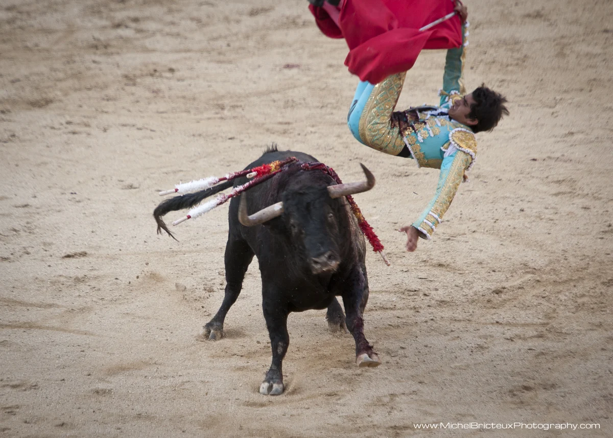 ES-Corrida 2011 5500w.jpg