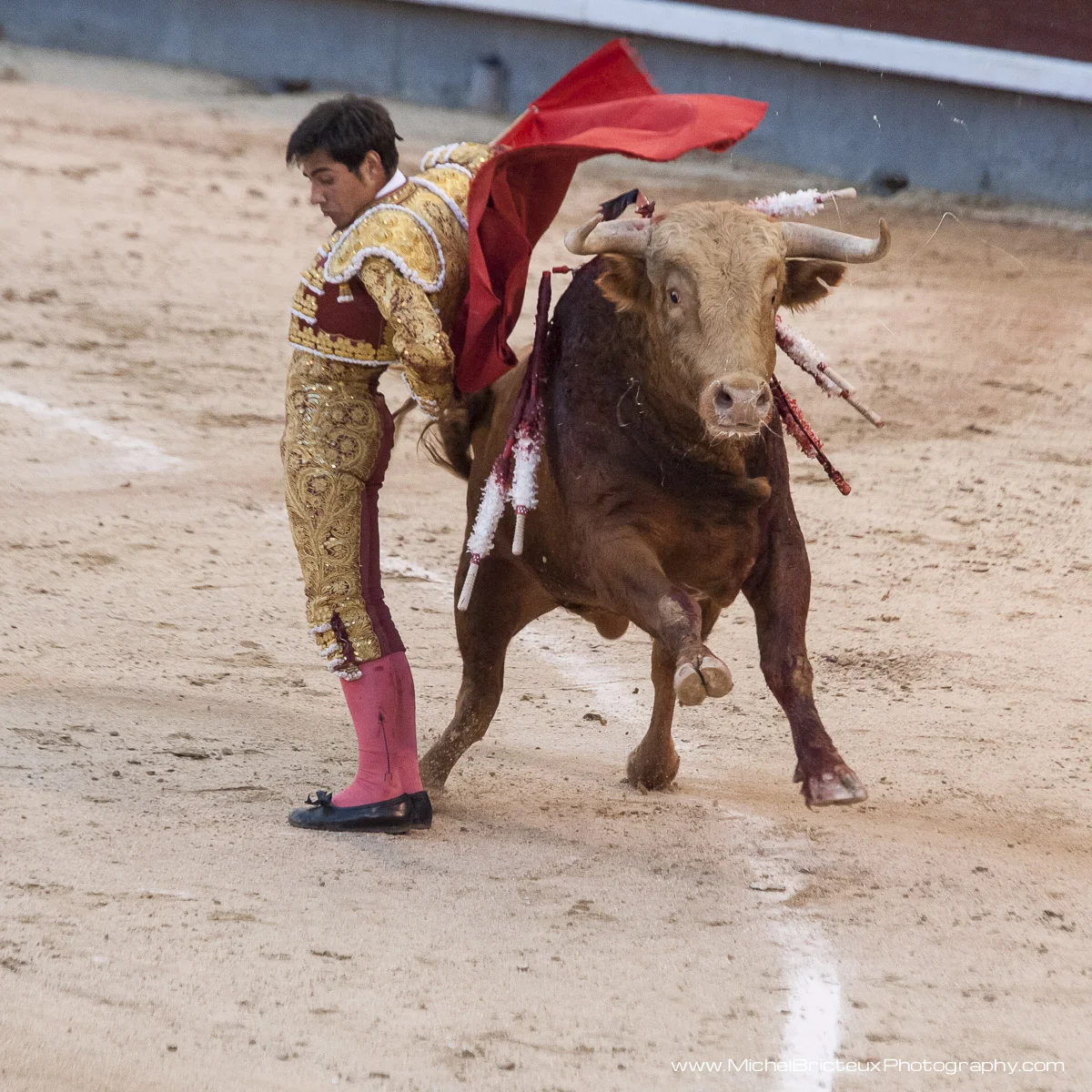 ES-Corrida 2010 8217w.jpg