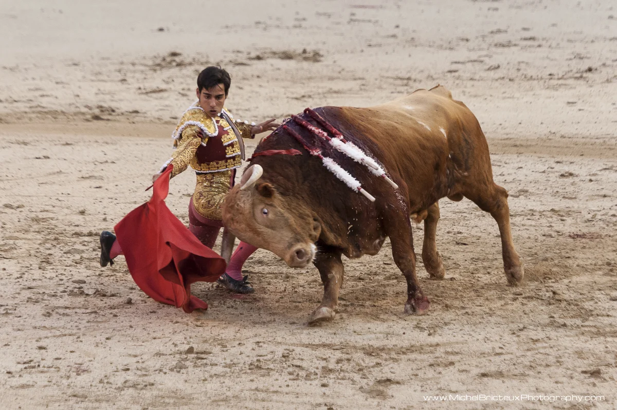 ES-Corrida 2010 8044w.jpg