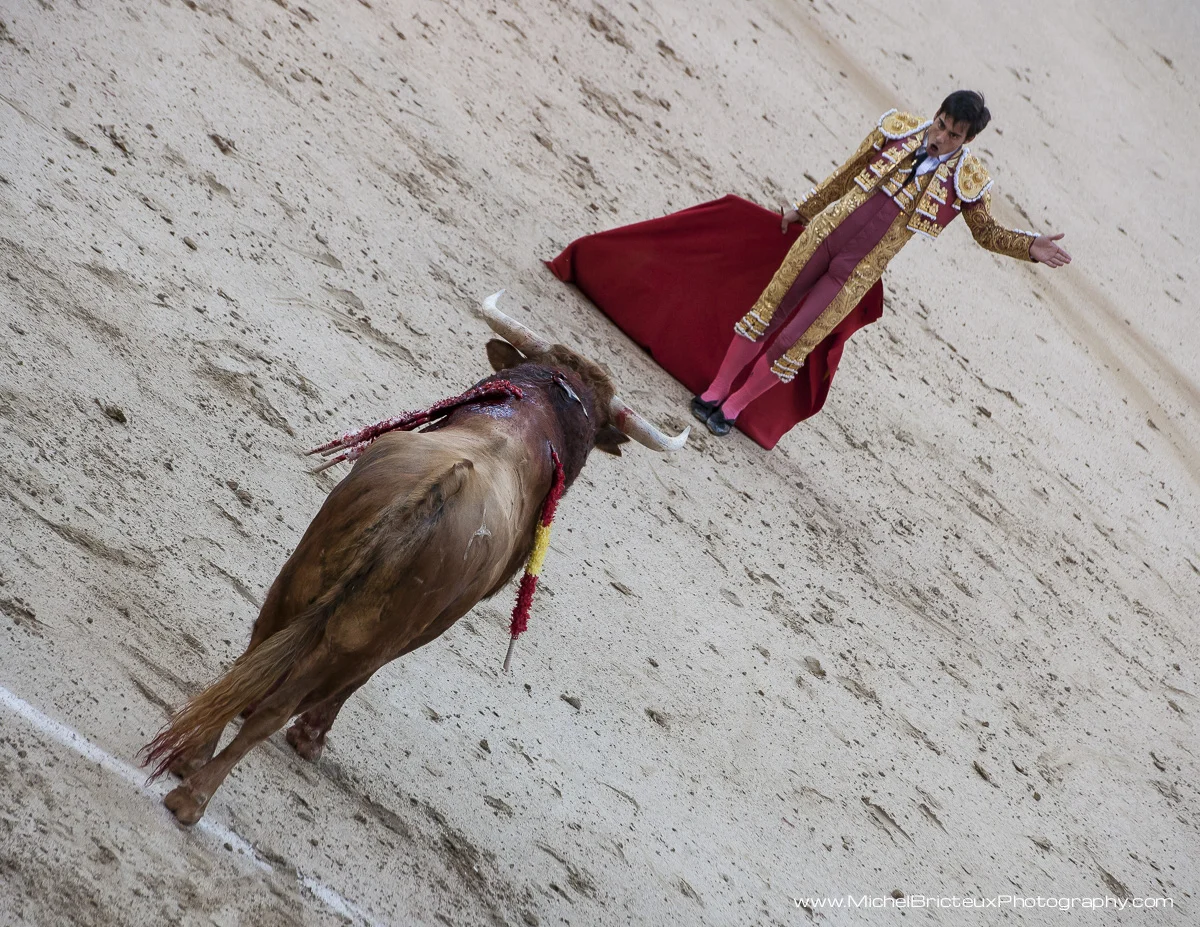ES-Corrida 2010 5602-2w.jpg