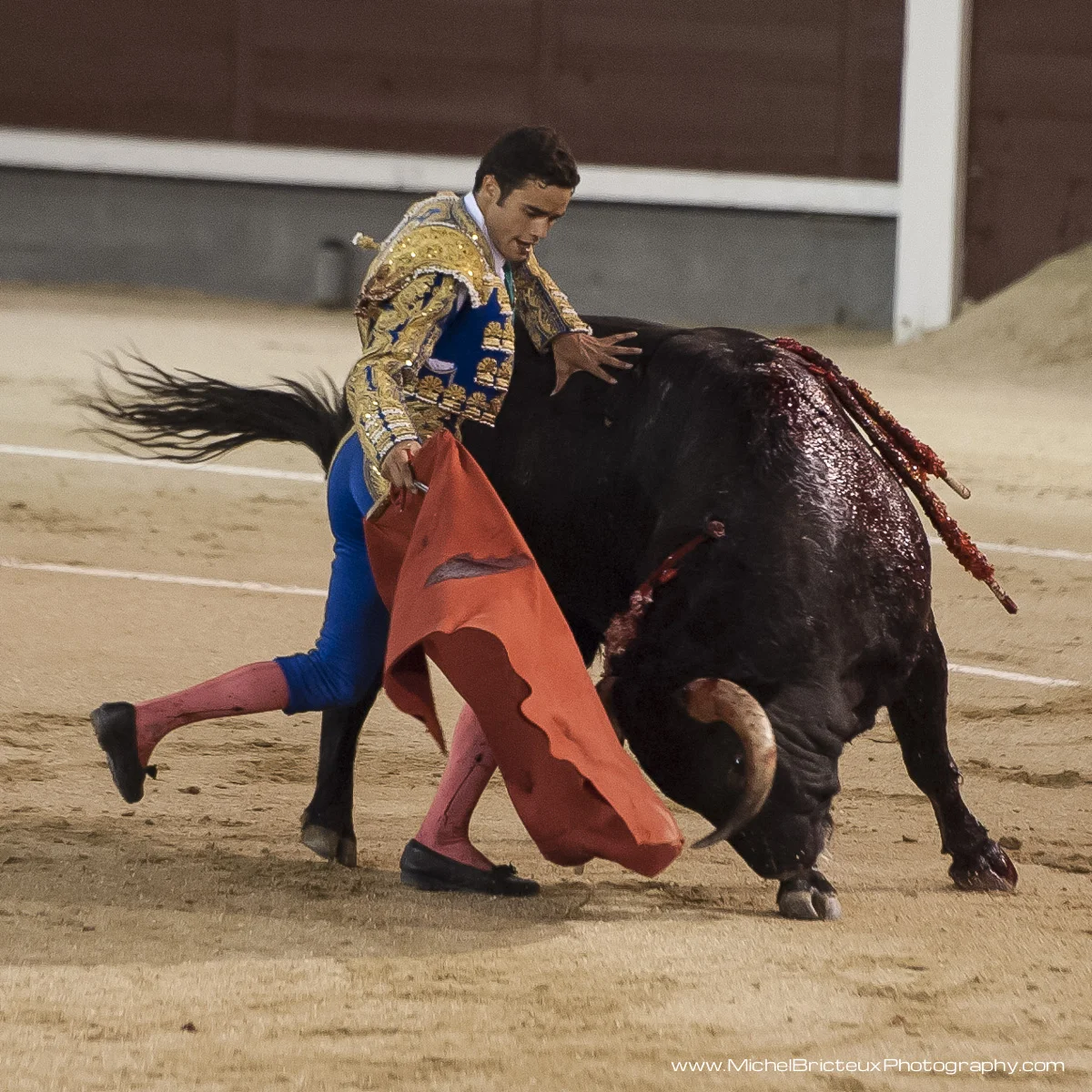 ES-Corrida 2010 5589w.jpg