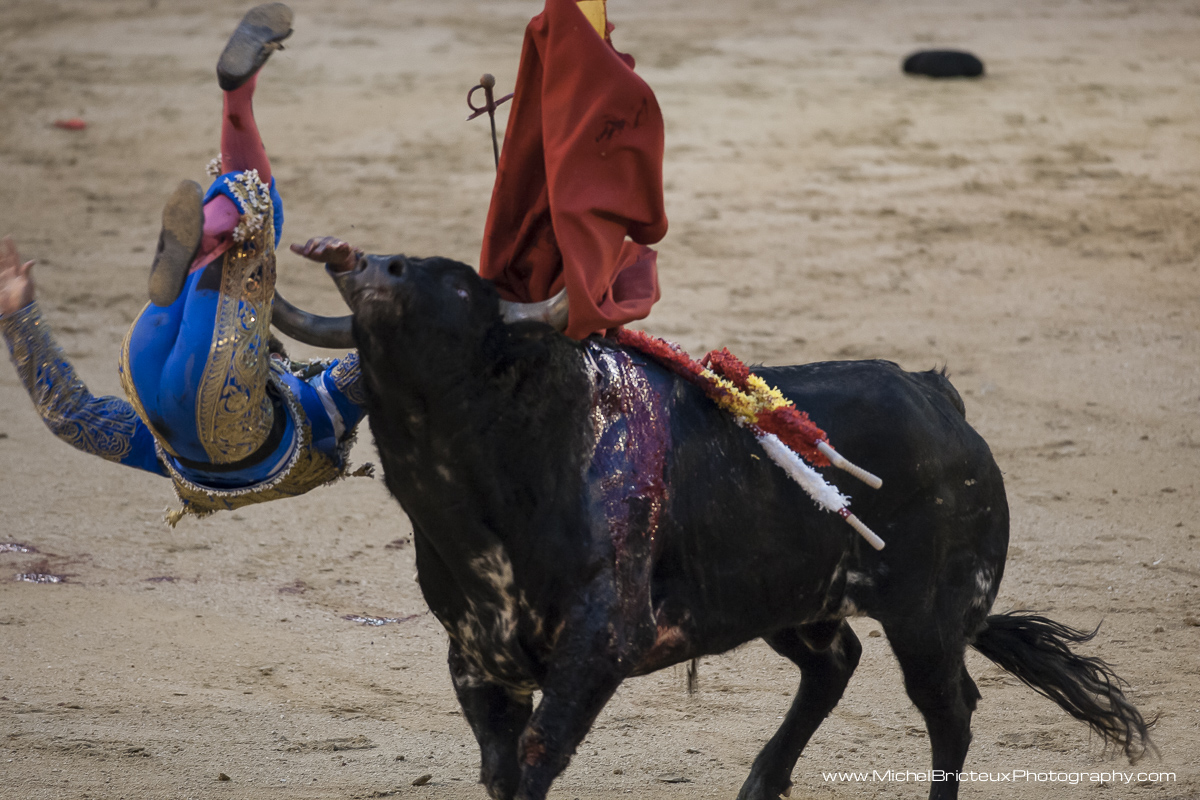 ES-Corrida 2010 3999w.jpg