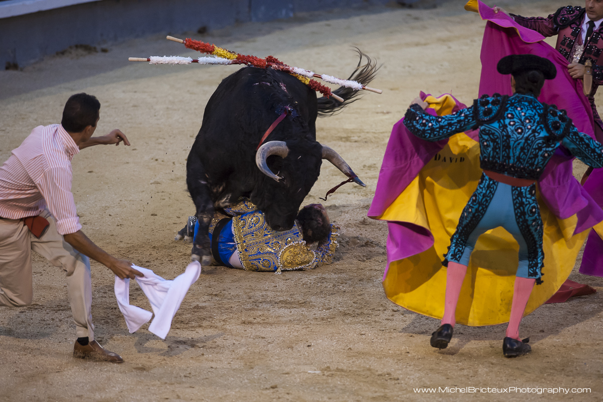 ES-Corrida 2010 3987w.jpg