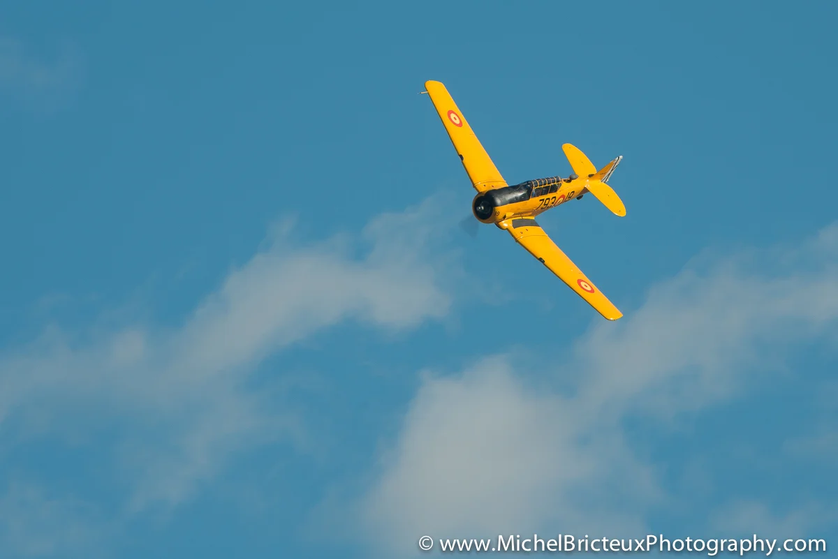 ES-Aviation - 25 anniversaire FIO 7681lowres.jpg