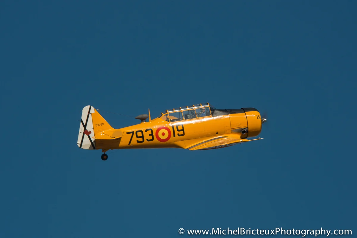 ES-Aviation - 25 anniversaire FIO 7668lowres.jpg