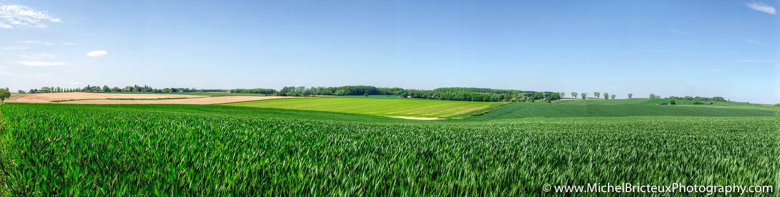 BE-Waterloo 2015 3103_tonemapped.jpg
