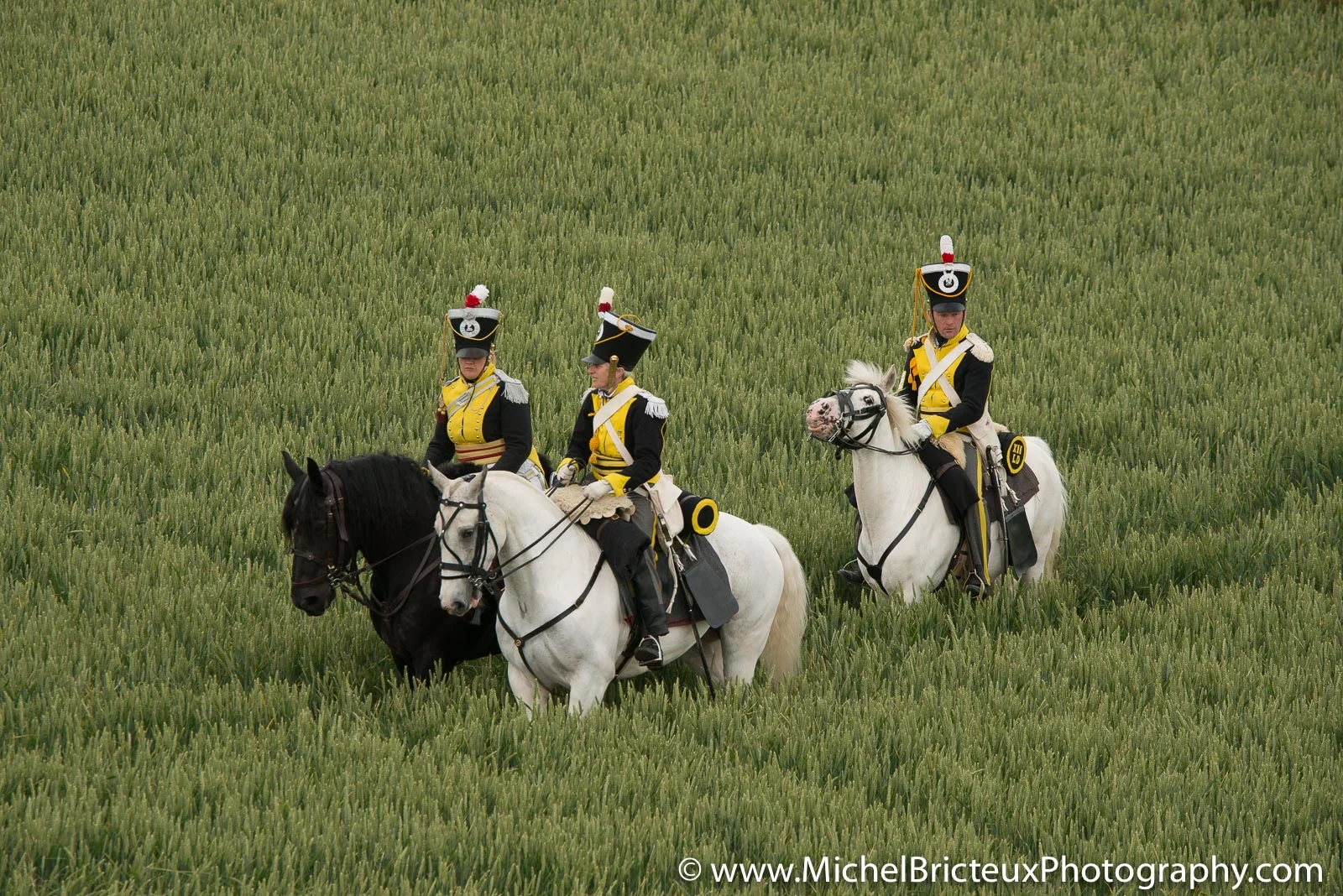 BE-Waterloo2015 4519.jpg