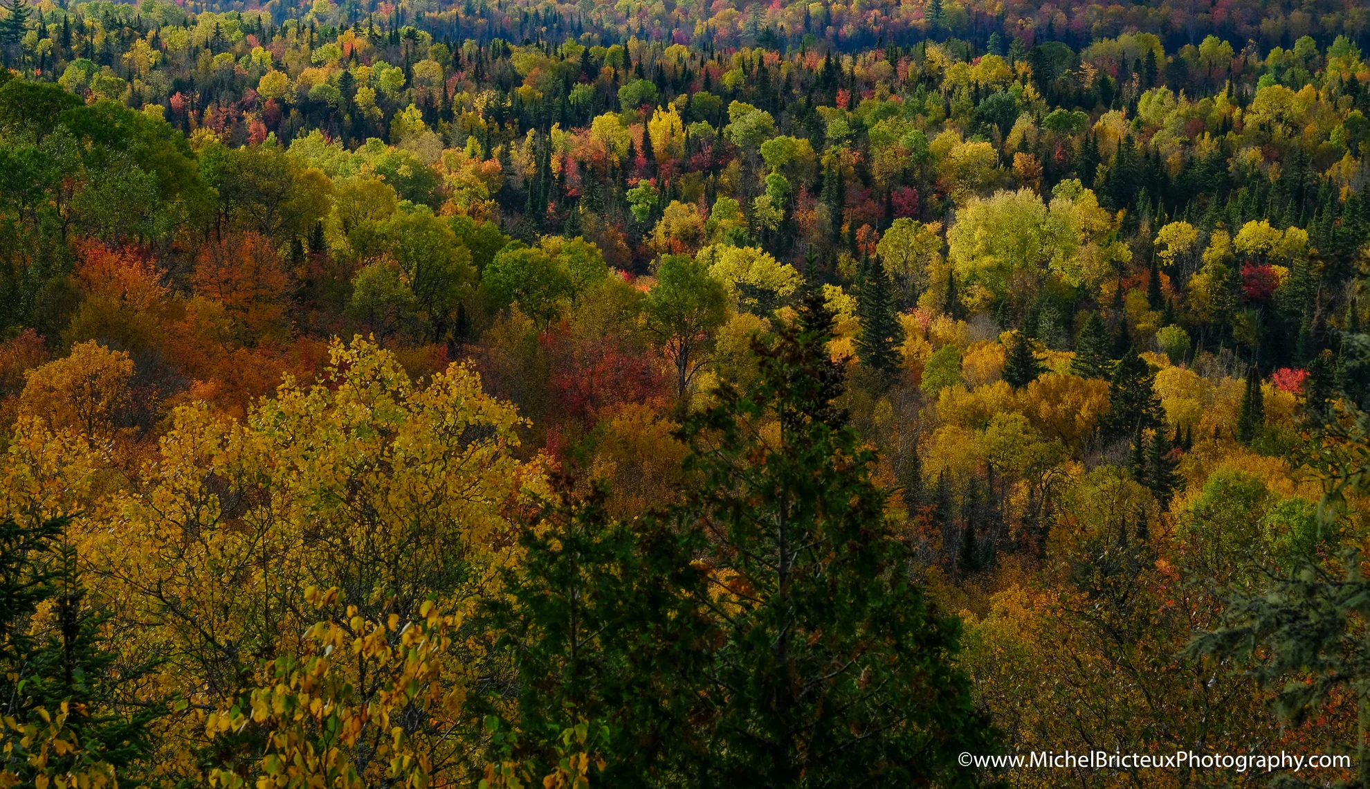 CA-Parc National de la Mauricie 2017 7875 Lowres.jpg
