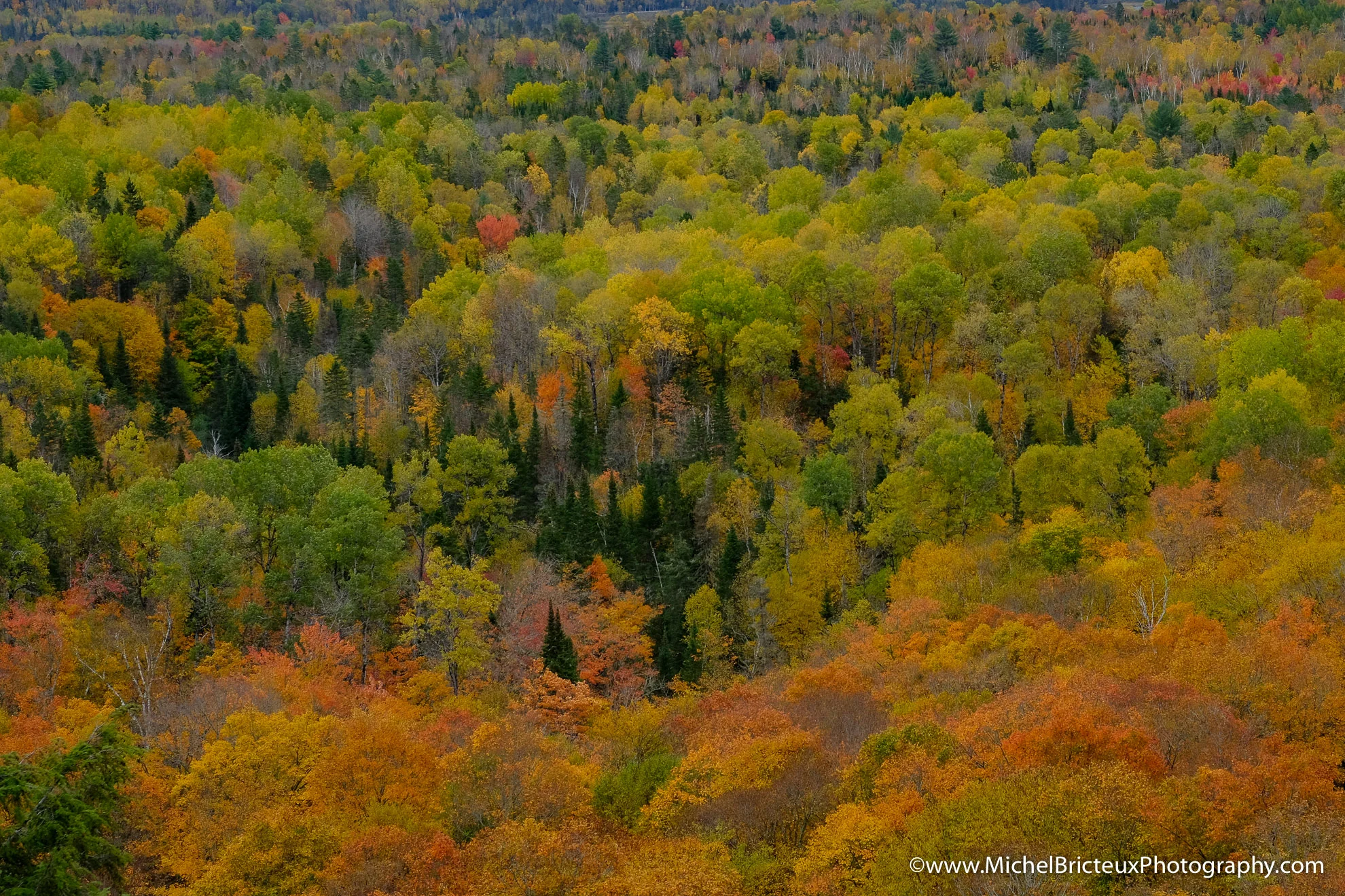 CA-Parc National de la Mauricie 2017 7861 Lowres-2.jpg