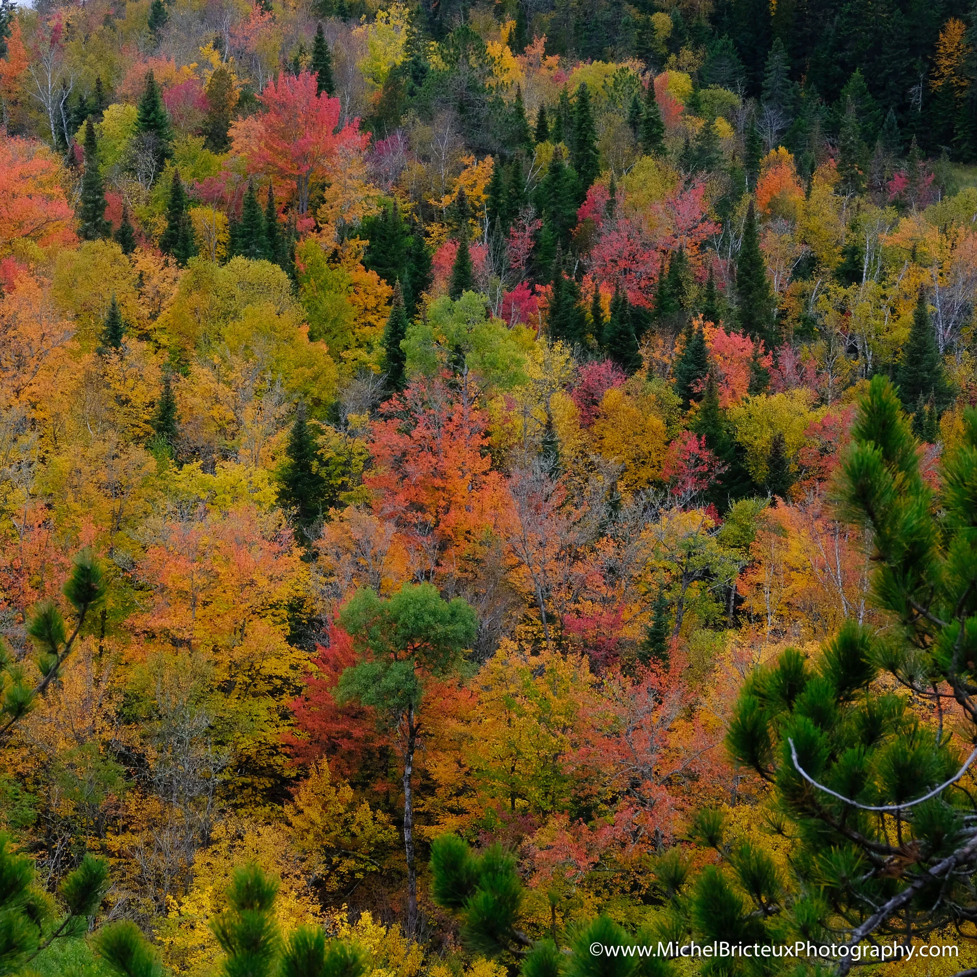 CA-Parc National de la Mauricie 2017 7844 Lowres.jpg